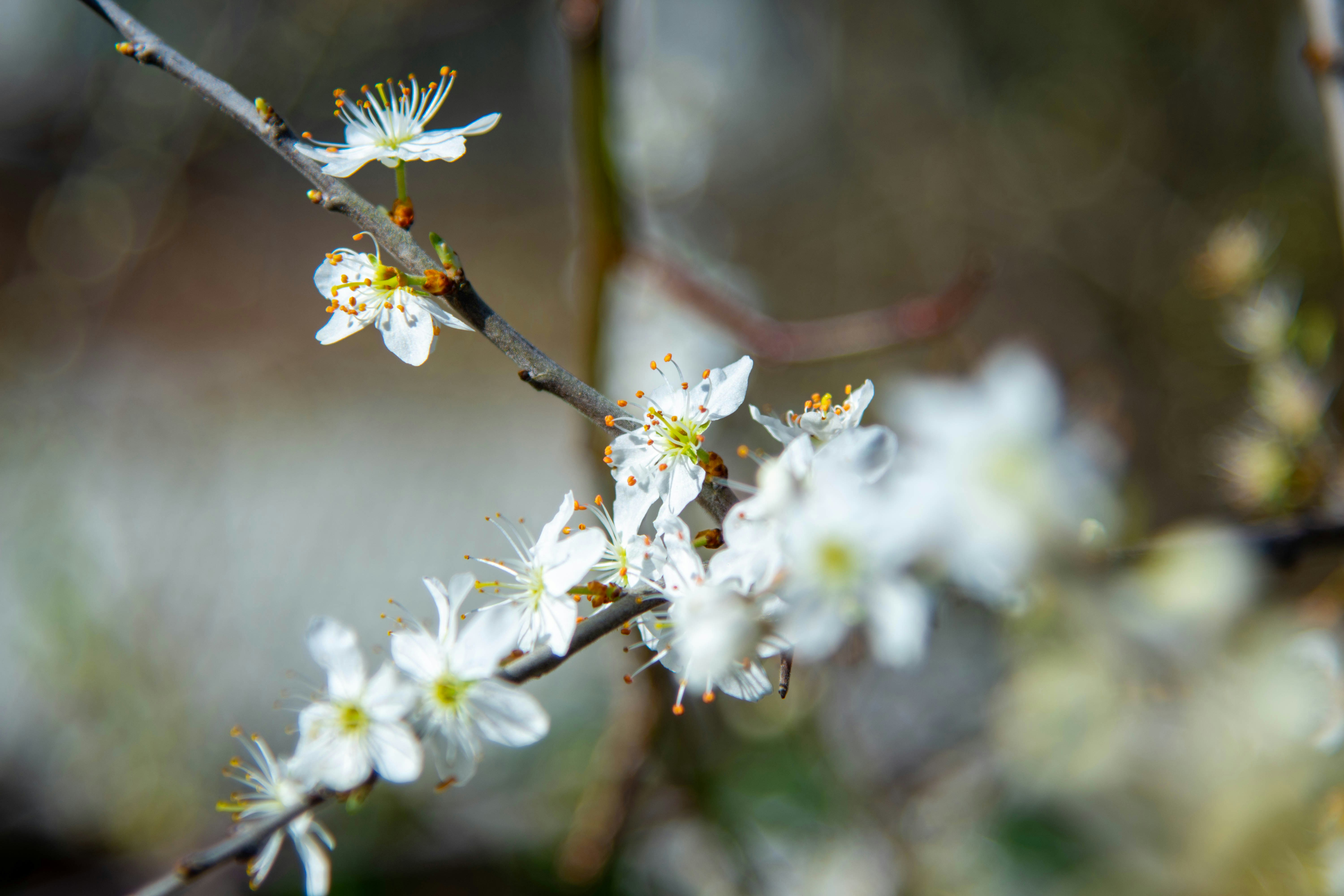 Photo by maplerockdesign