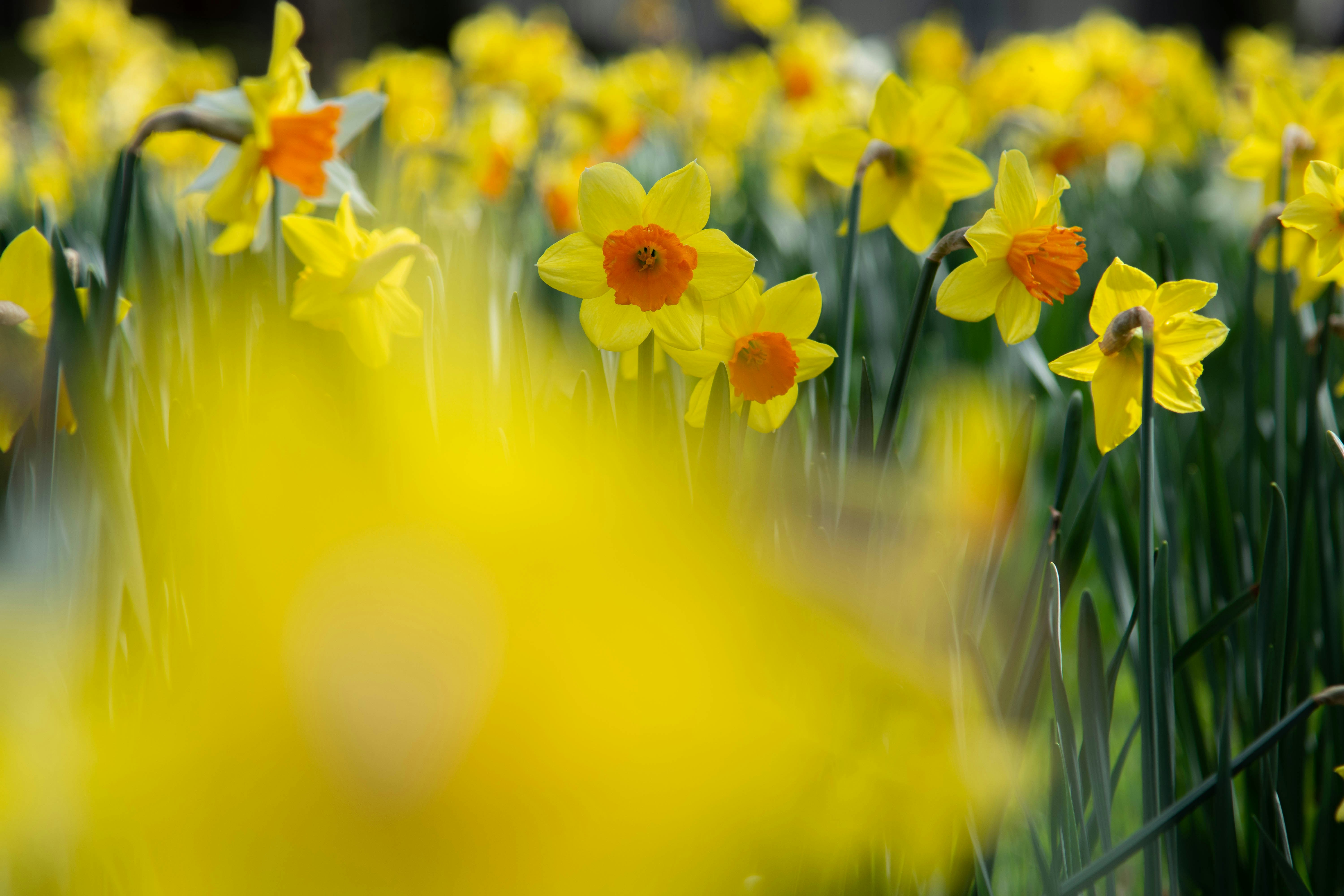 Photo by maplerockdesign