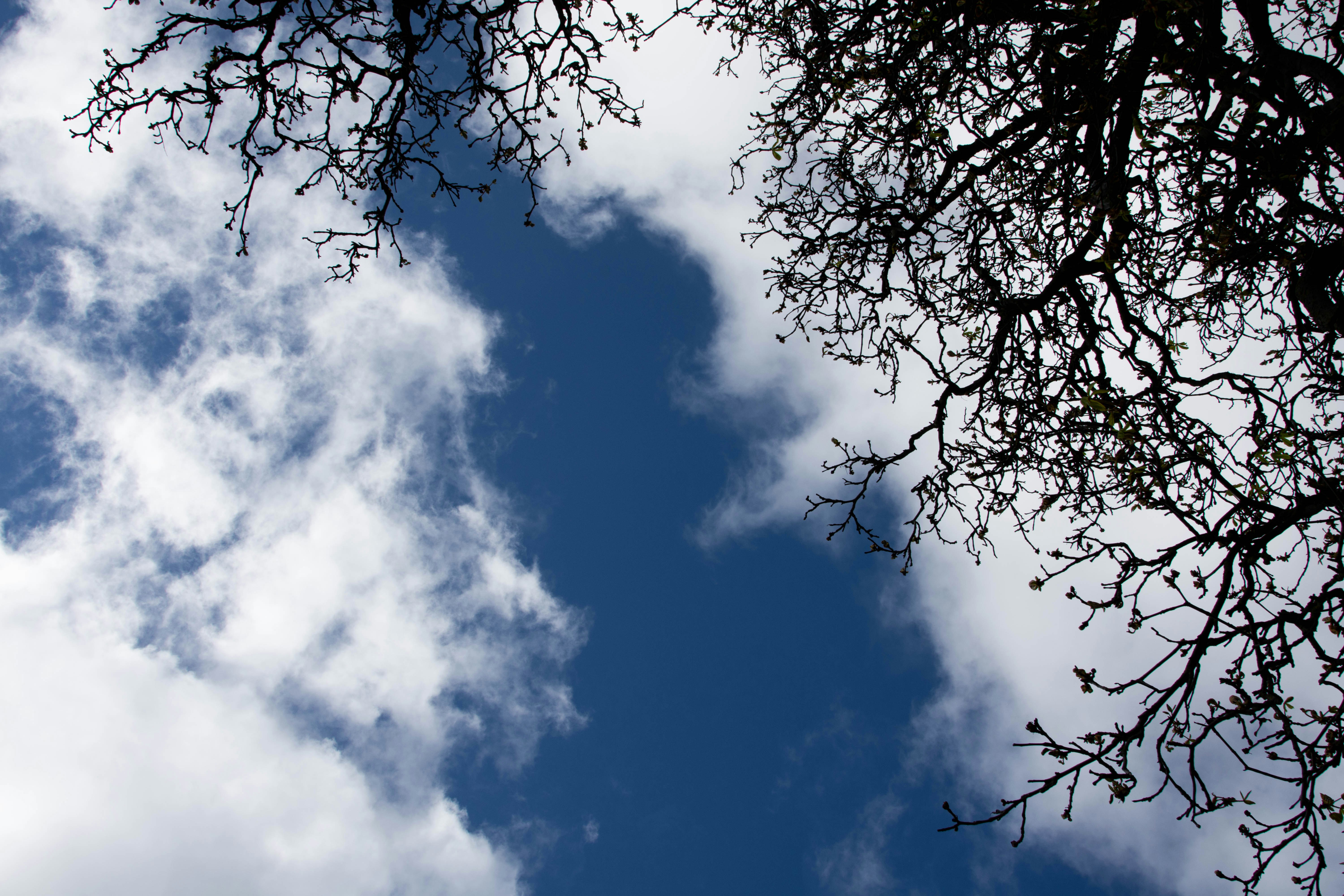 Photo by maplerockdesign