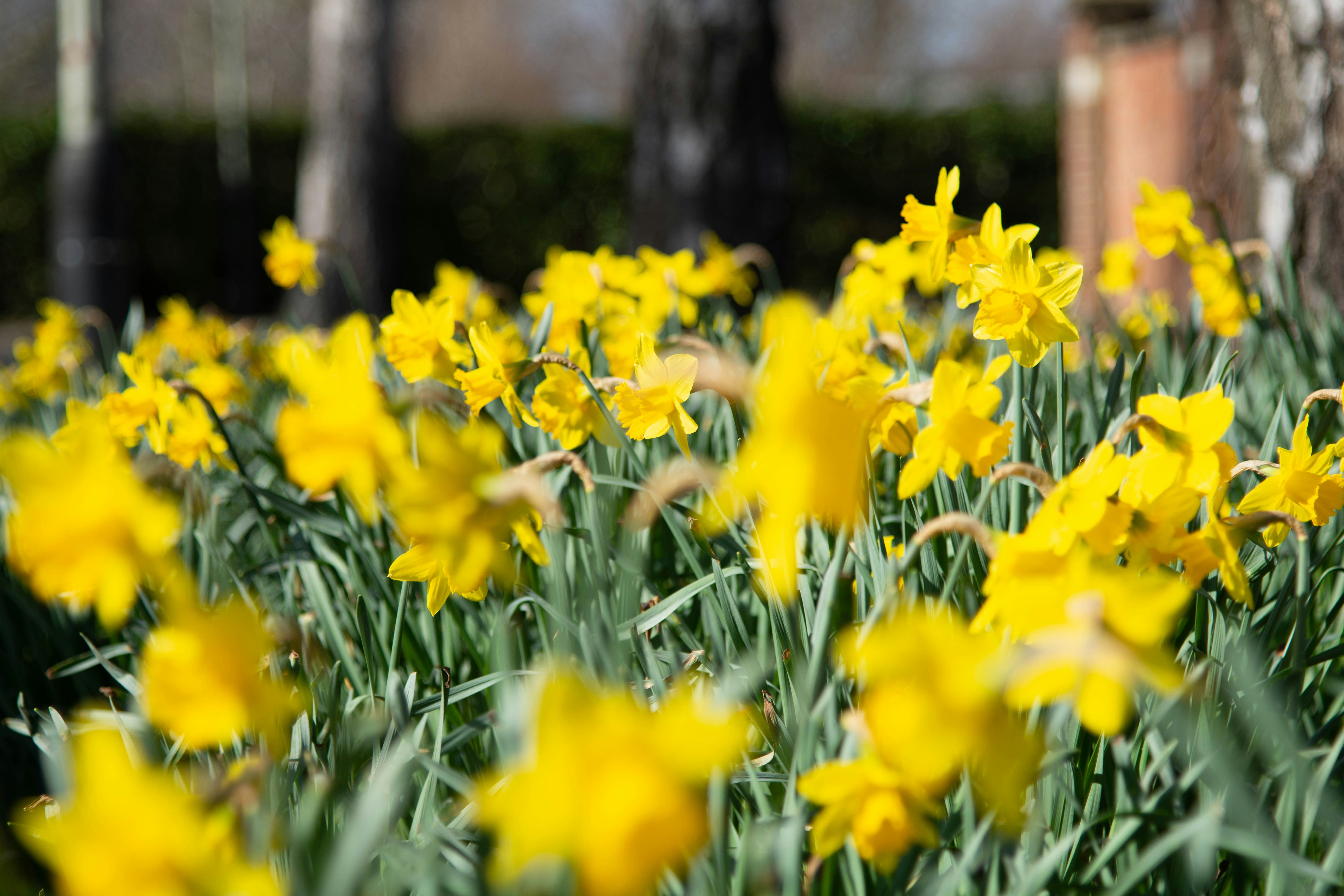 Photo by maplerockdesign