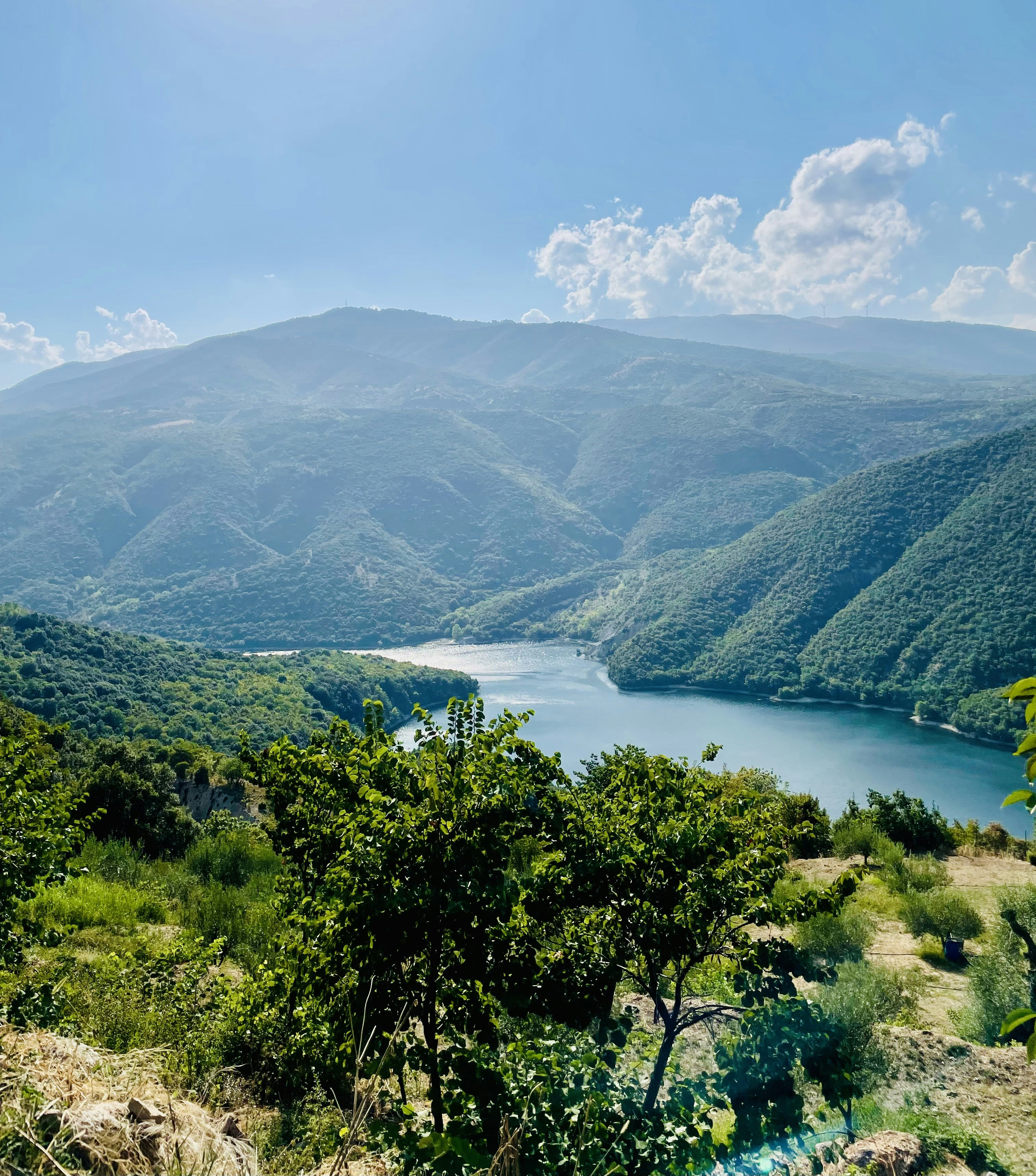 a scenic view of a lake surrounded by mountains