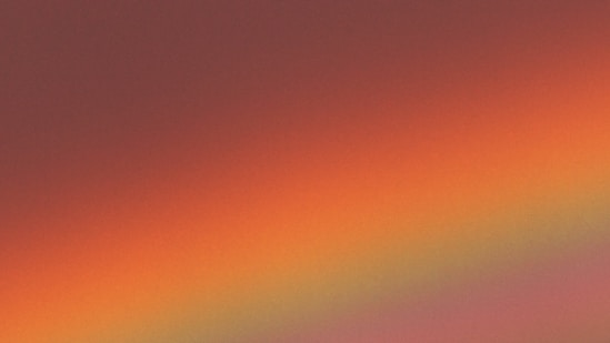 a bird flying in the sky with a rainbow in the background