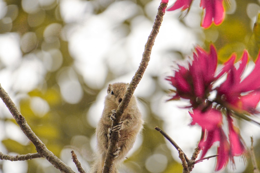 a small bird perched on top of a tree branch