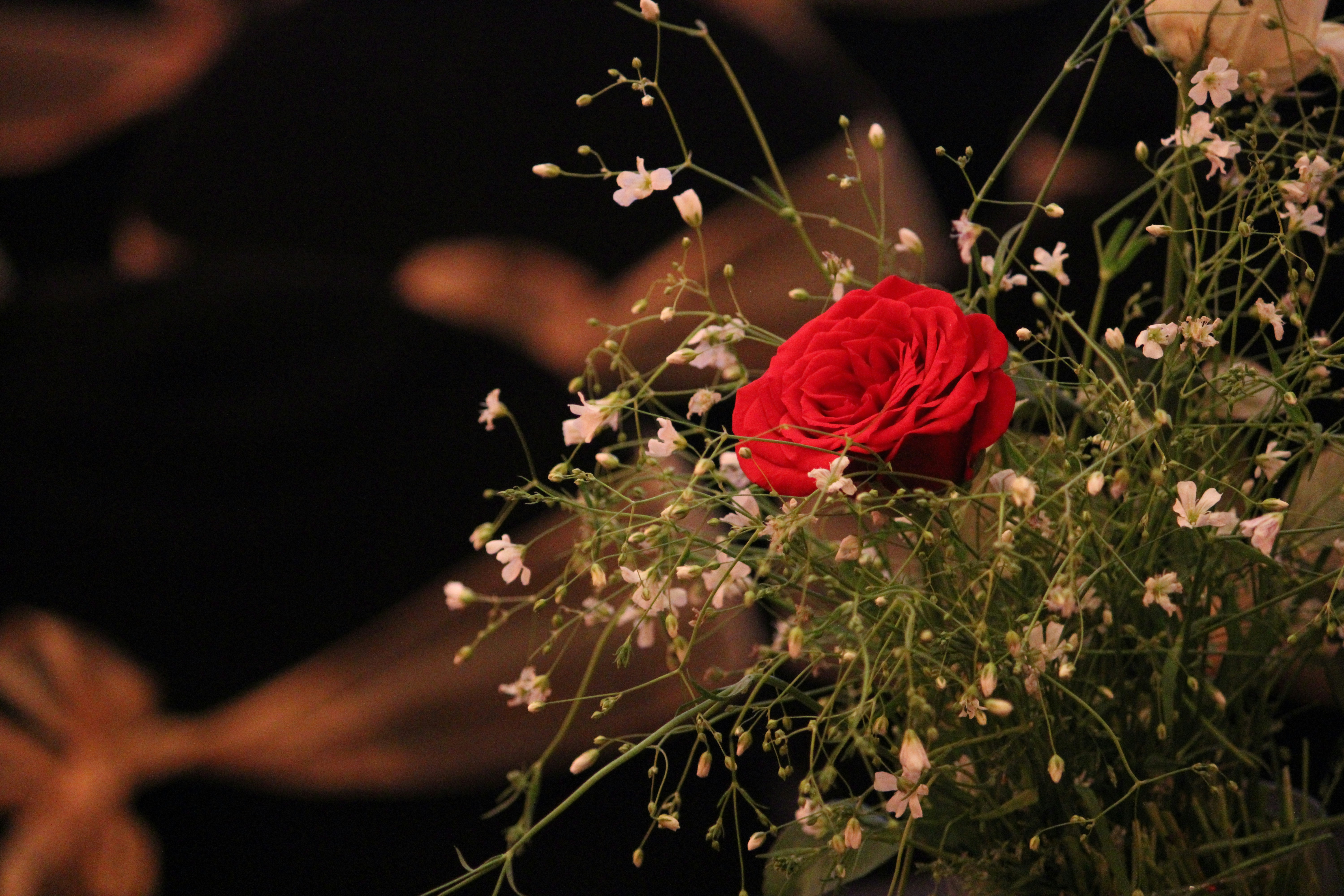 Photo by mukuldhiman