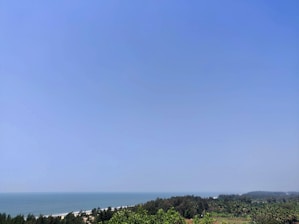 A serene coastal landscape symbolizing growth and opportunity in a business environment.