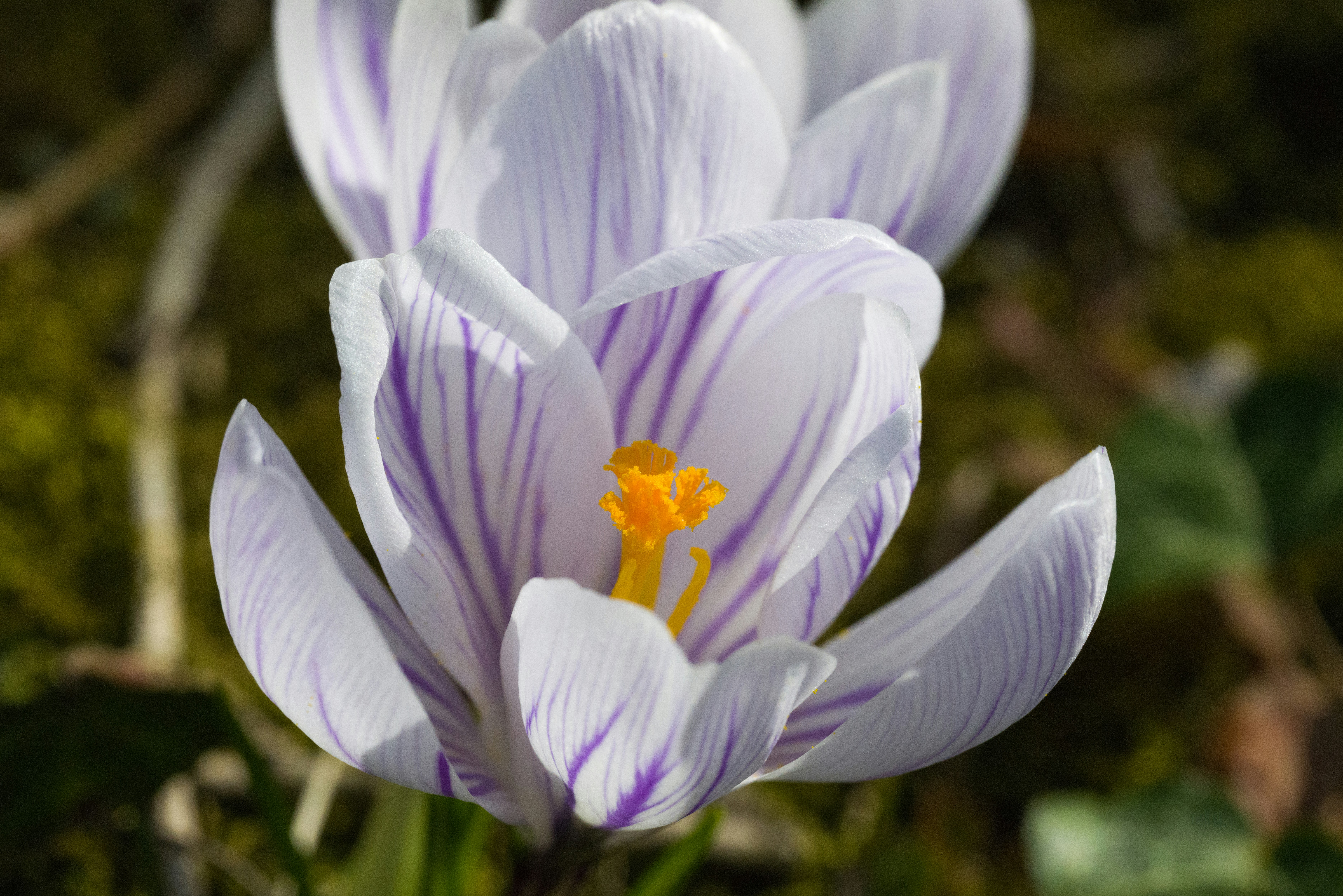 Photo by georgeiermann