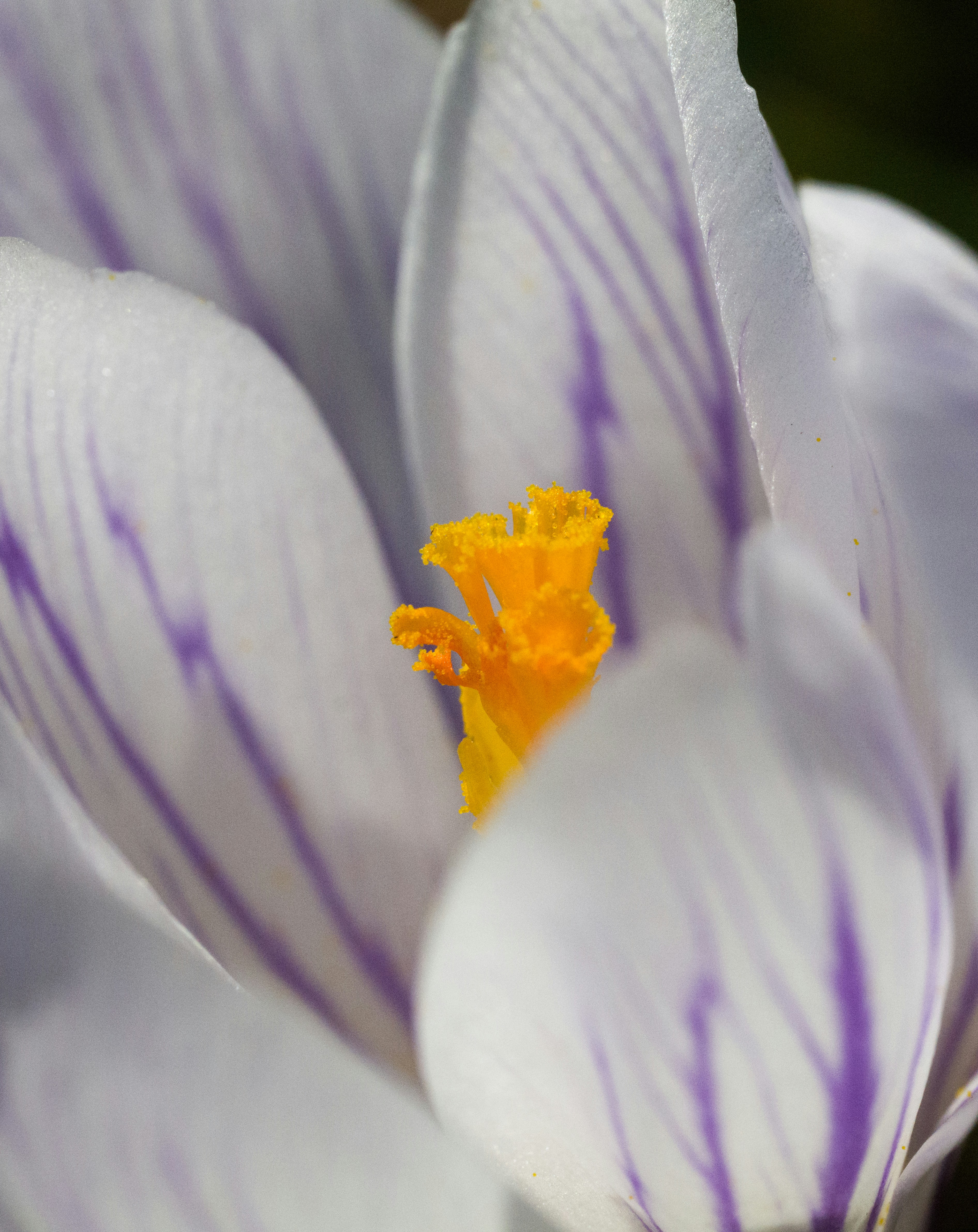 Photo by georgeiermann