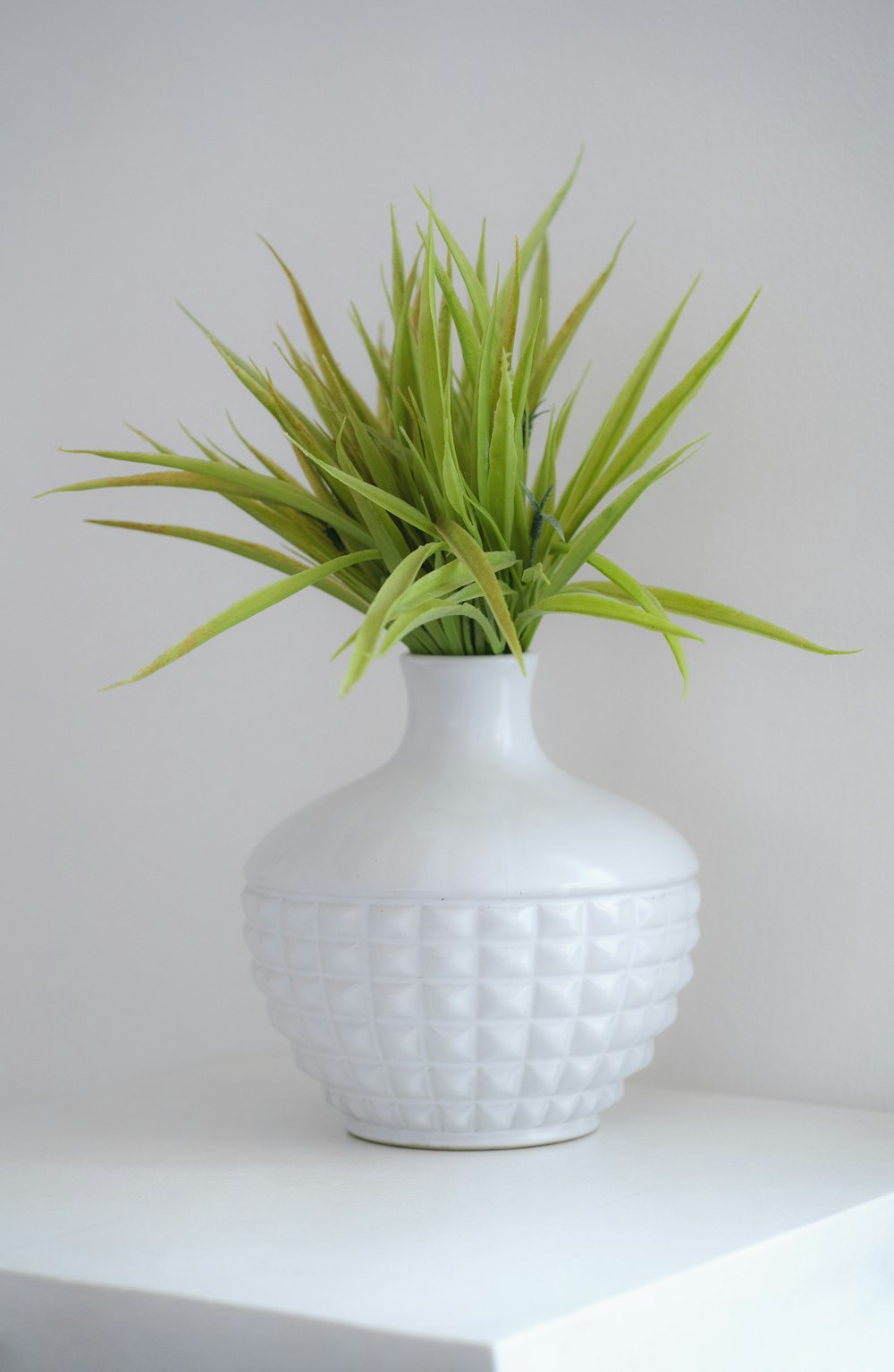 a vase of flowers on a plant