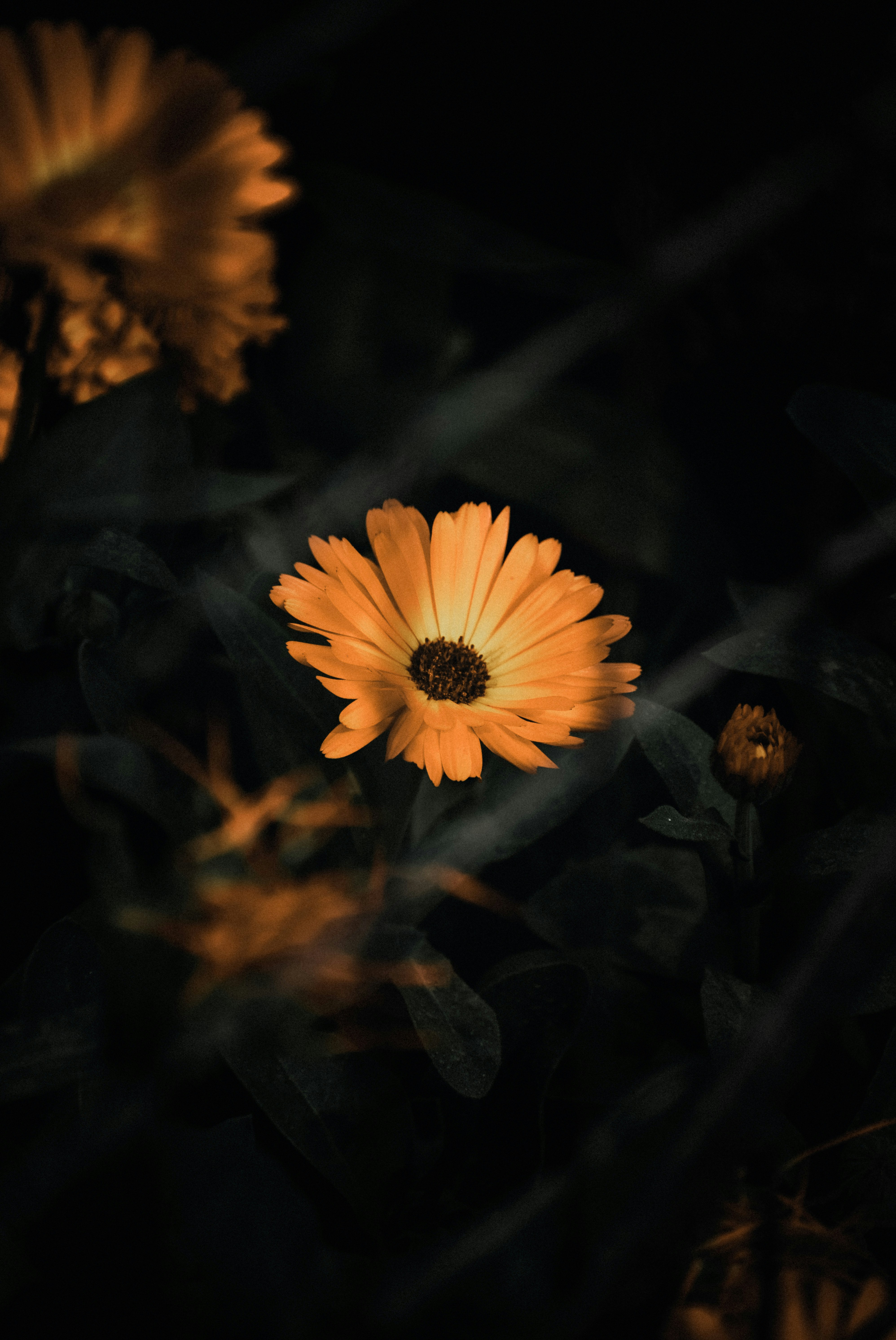 Photo by revoabhilash101