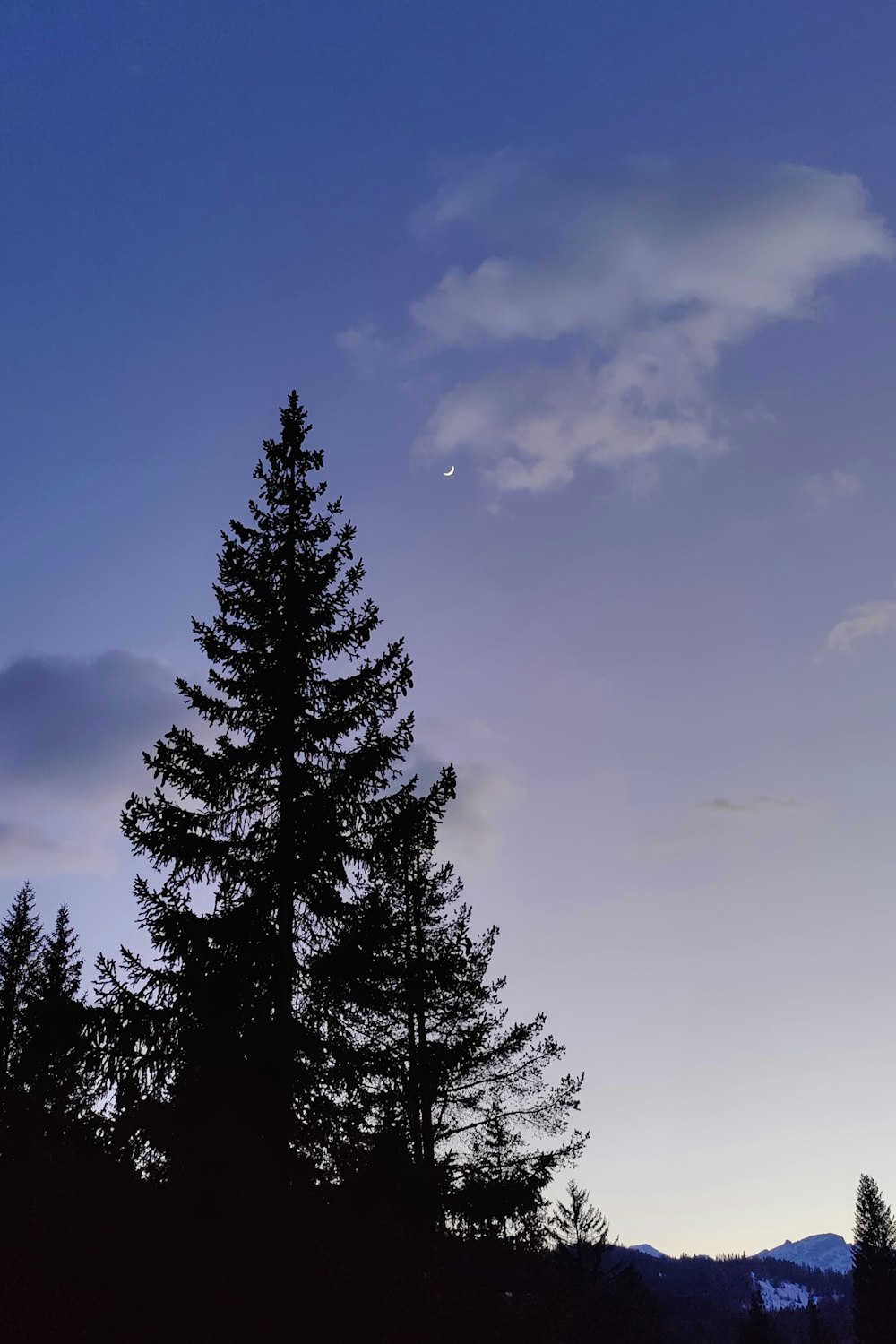 a lone tree stands in the foreground as the sun sets