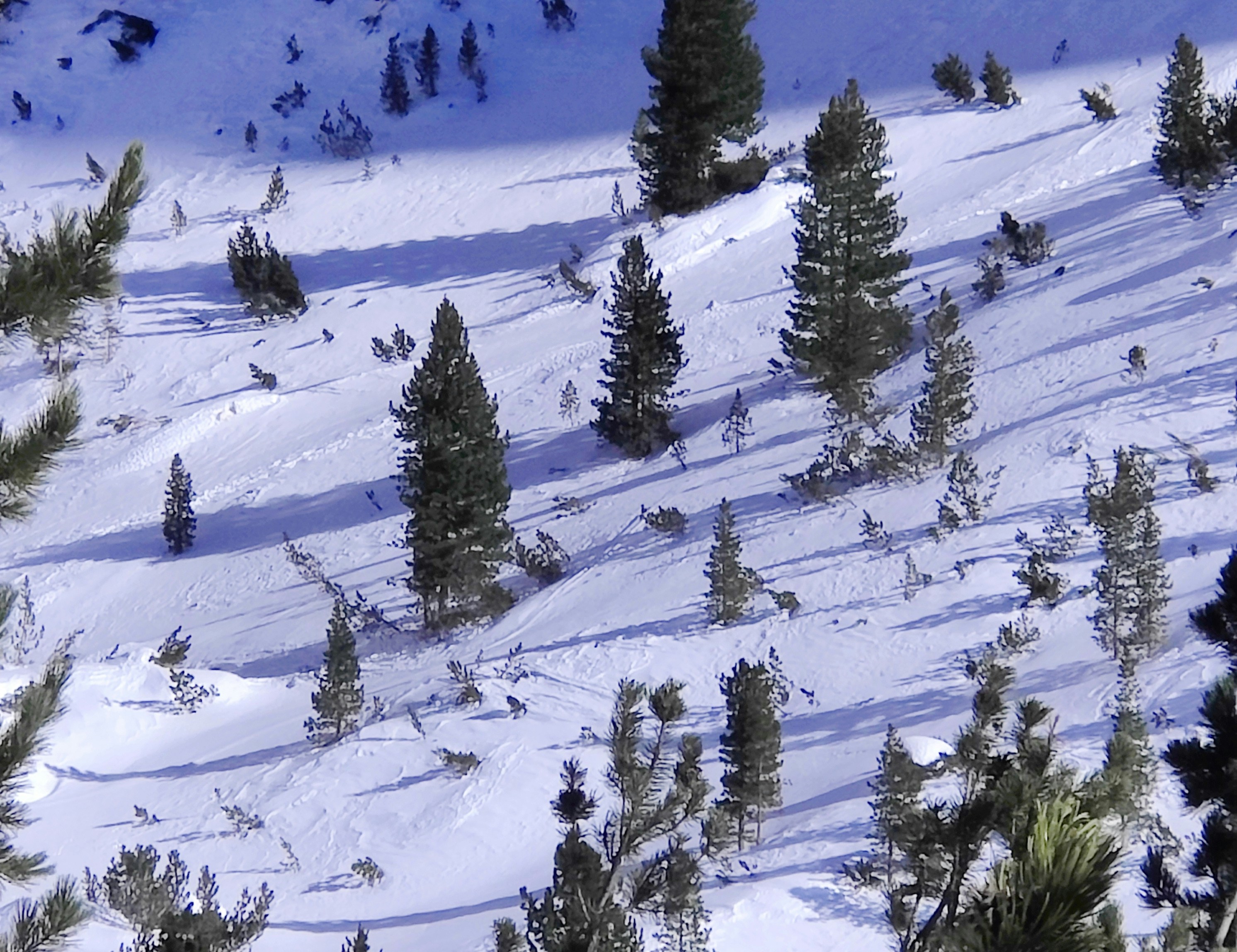 Photo by madmartigand