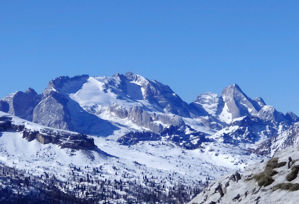 a mountain range covered in snow and trees