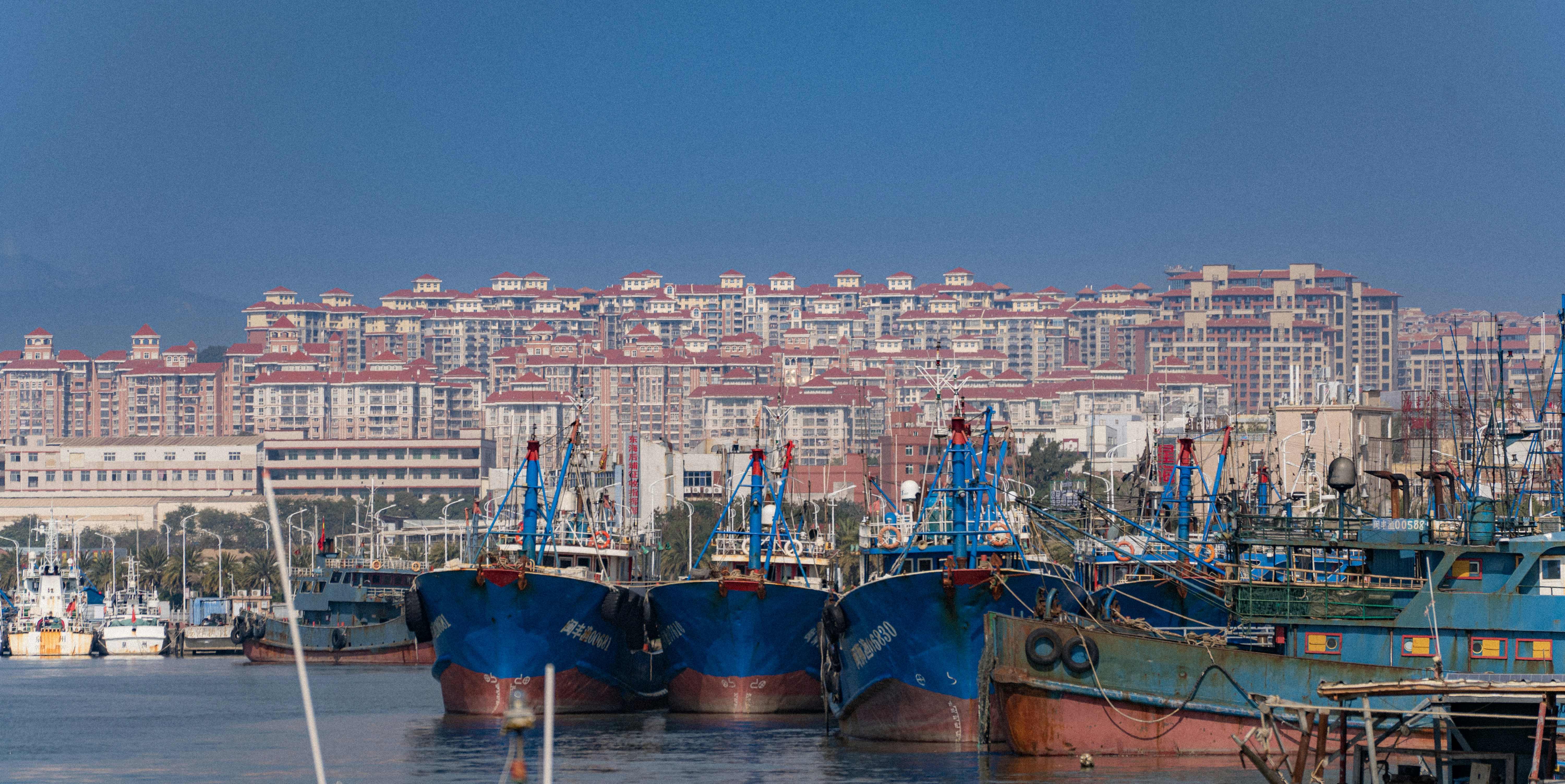 Un grupo de barcos que están sentados en el agua