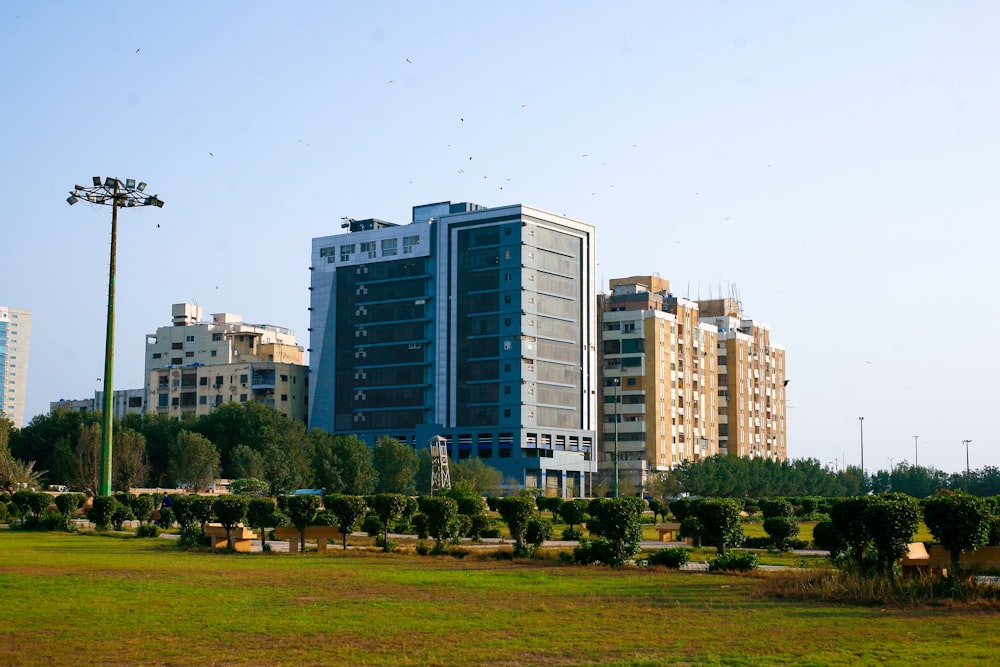 a grassy field in front of a tall building