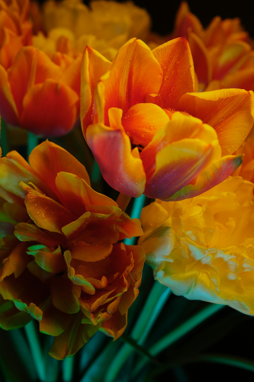 a bunch of orange and yellow flowers in a vase