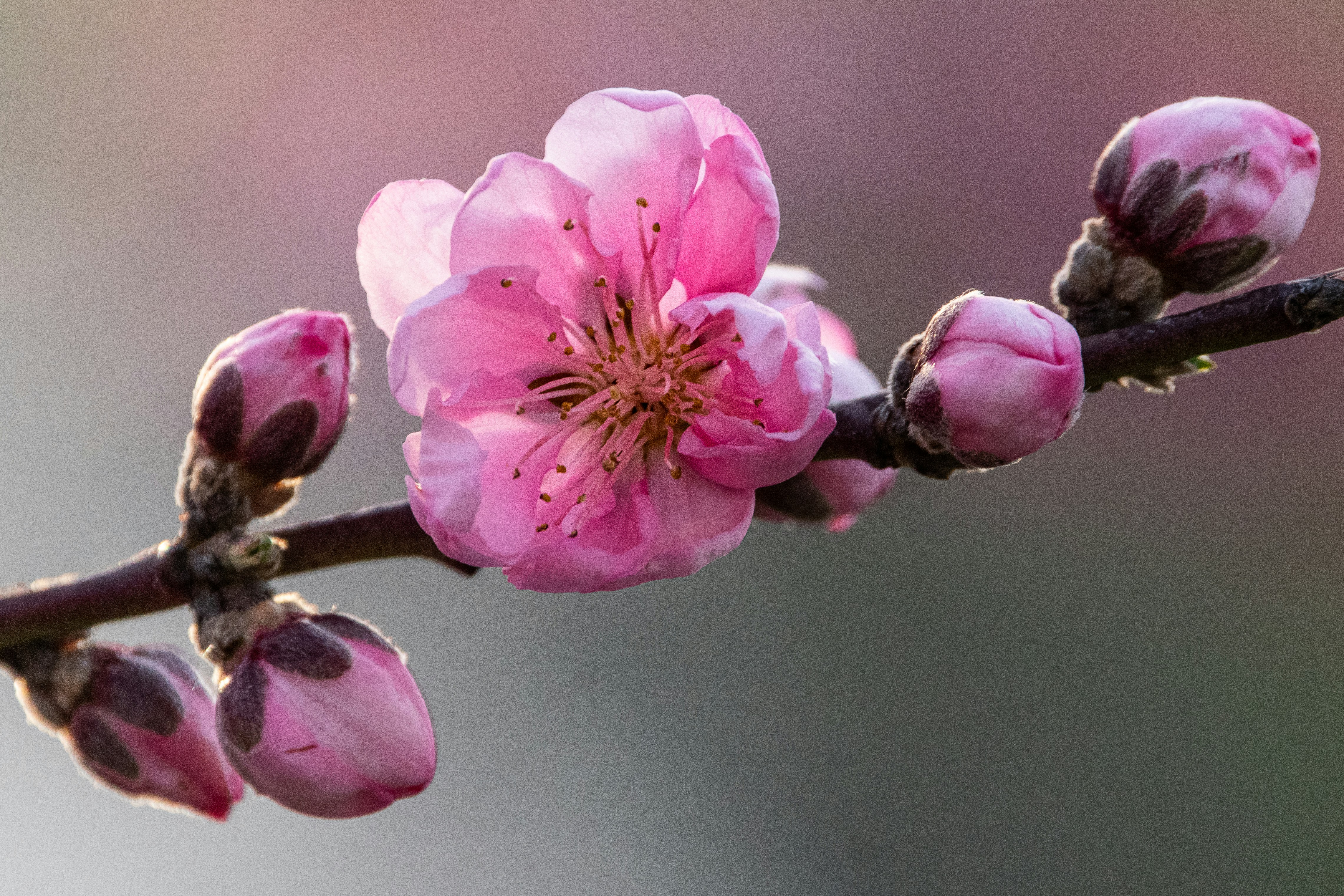 Photo by elisastonephotography