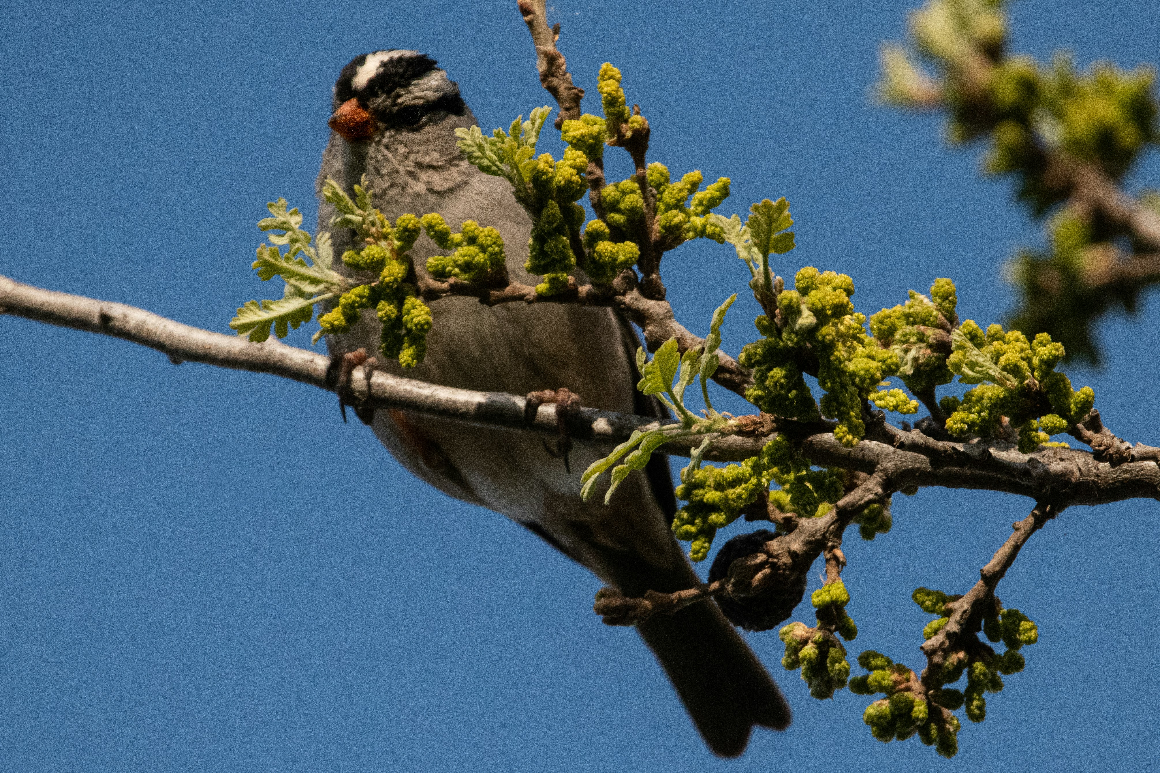 Photo by elisastonephotography