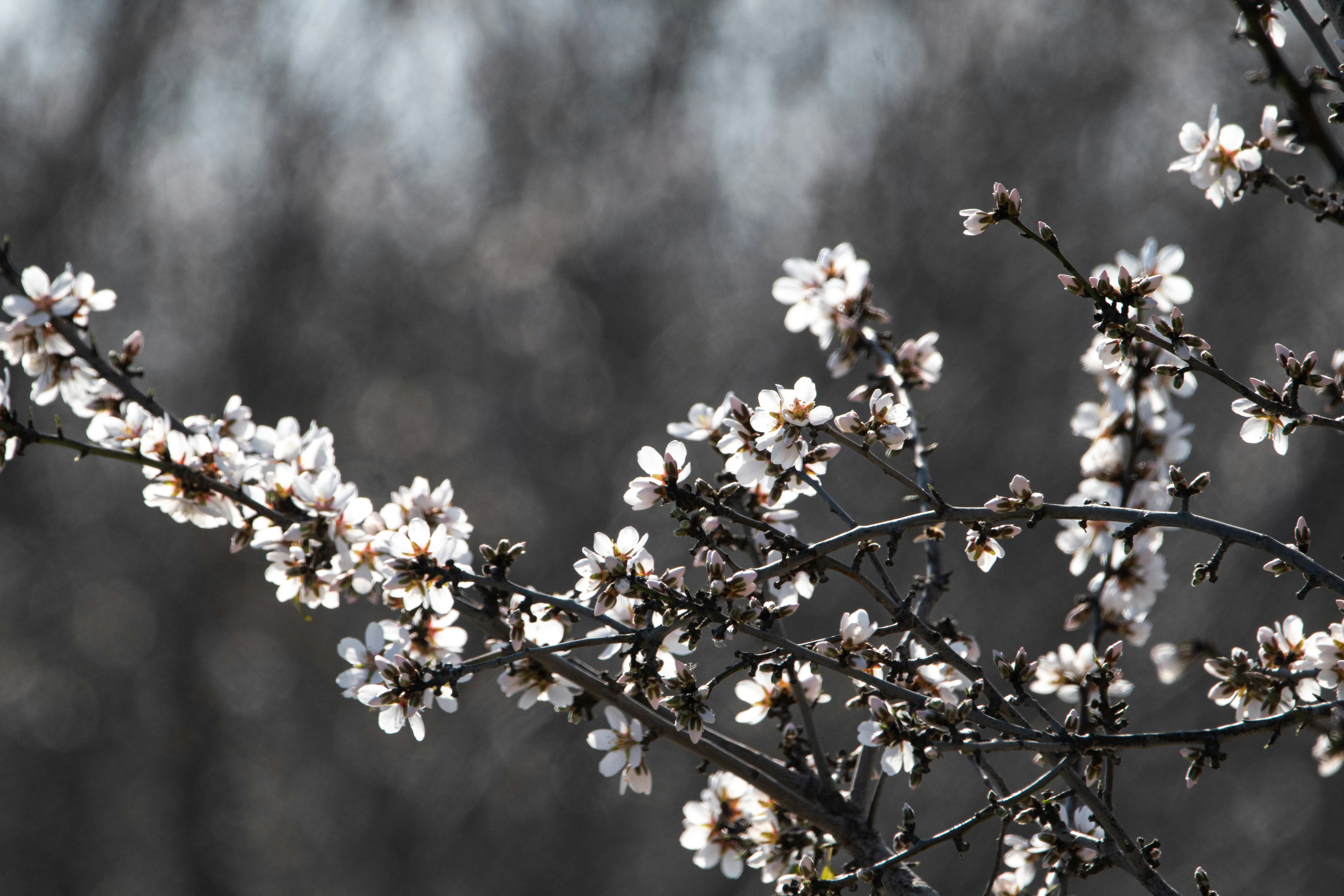 Photo by elisastonephotography