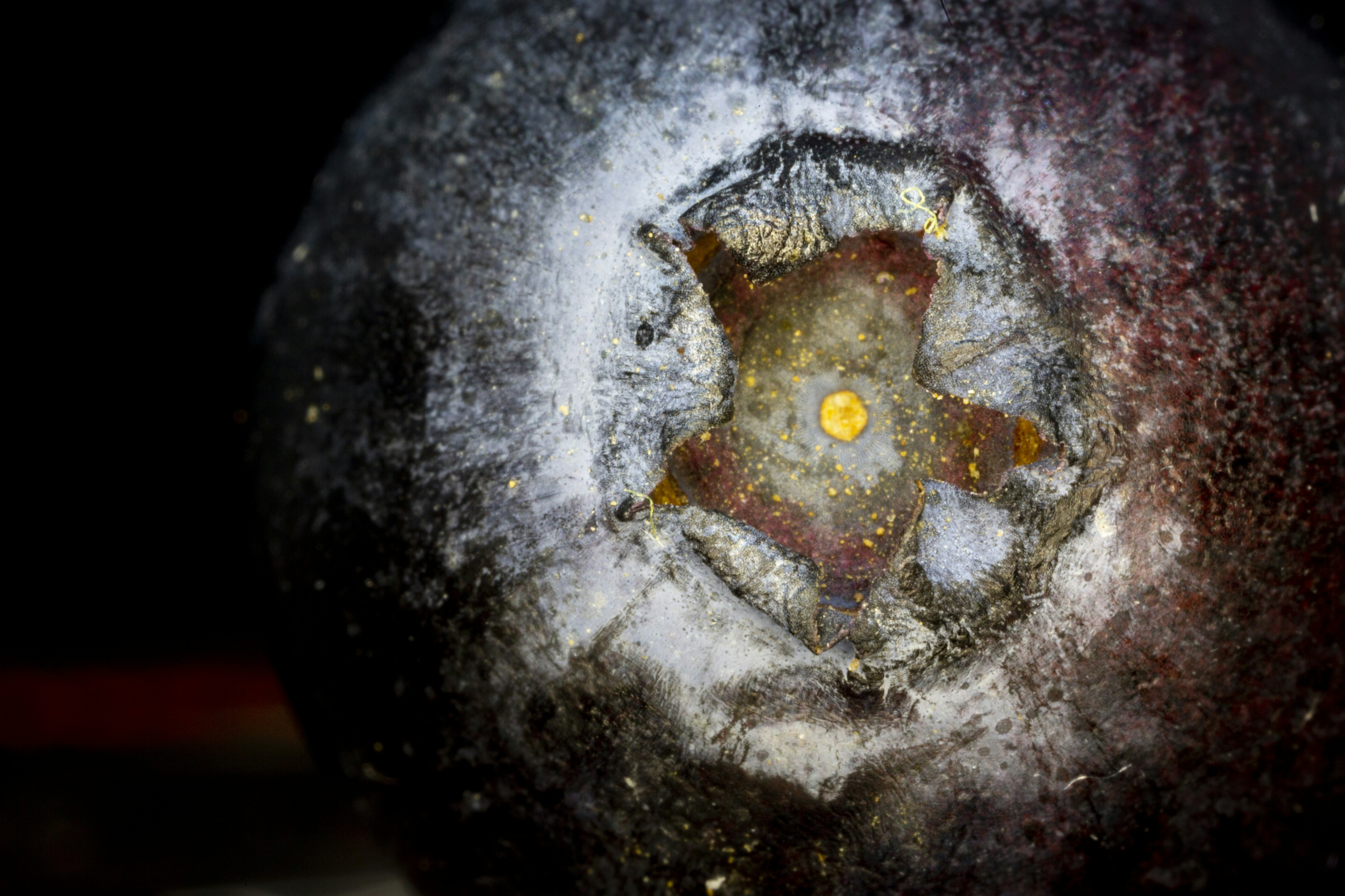 a close up of a piece of fruit on a table