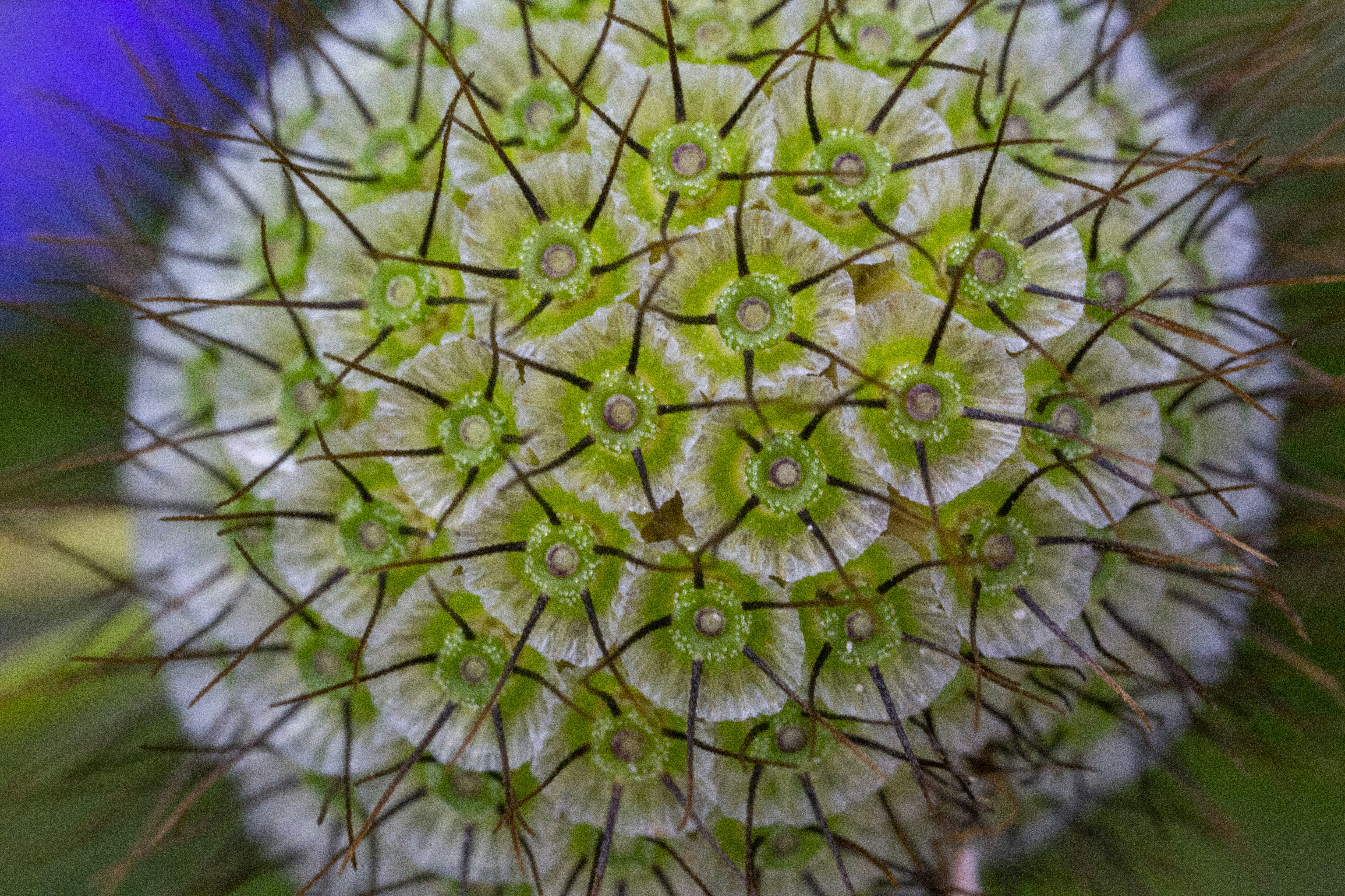 Photo by gregoirehervebazin