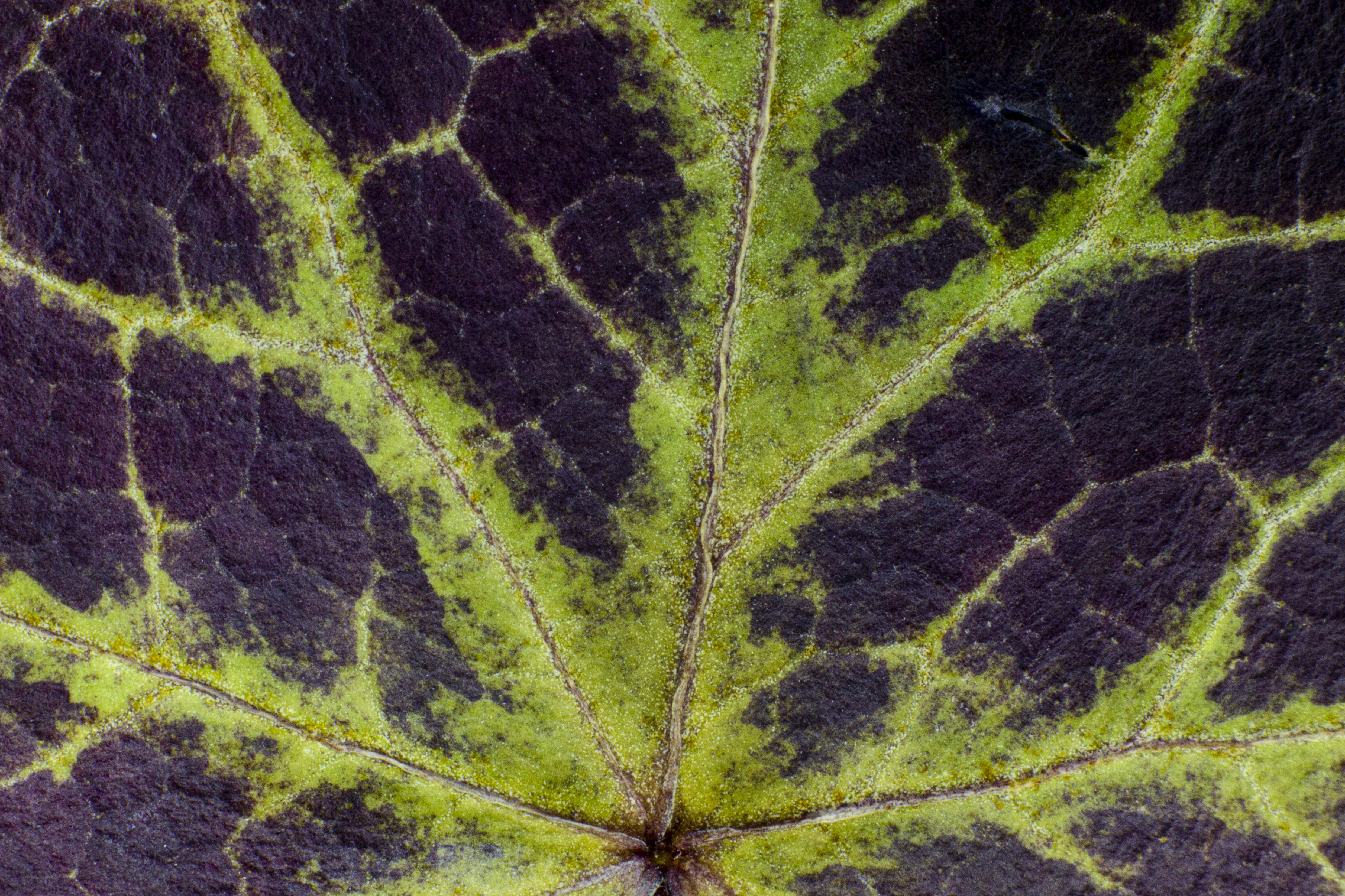 Photo by gregoirehervebazin