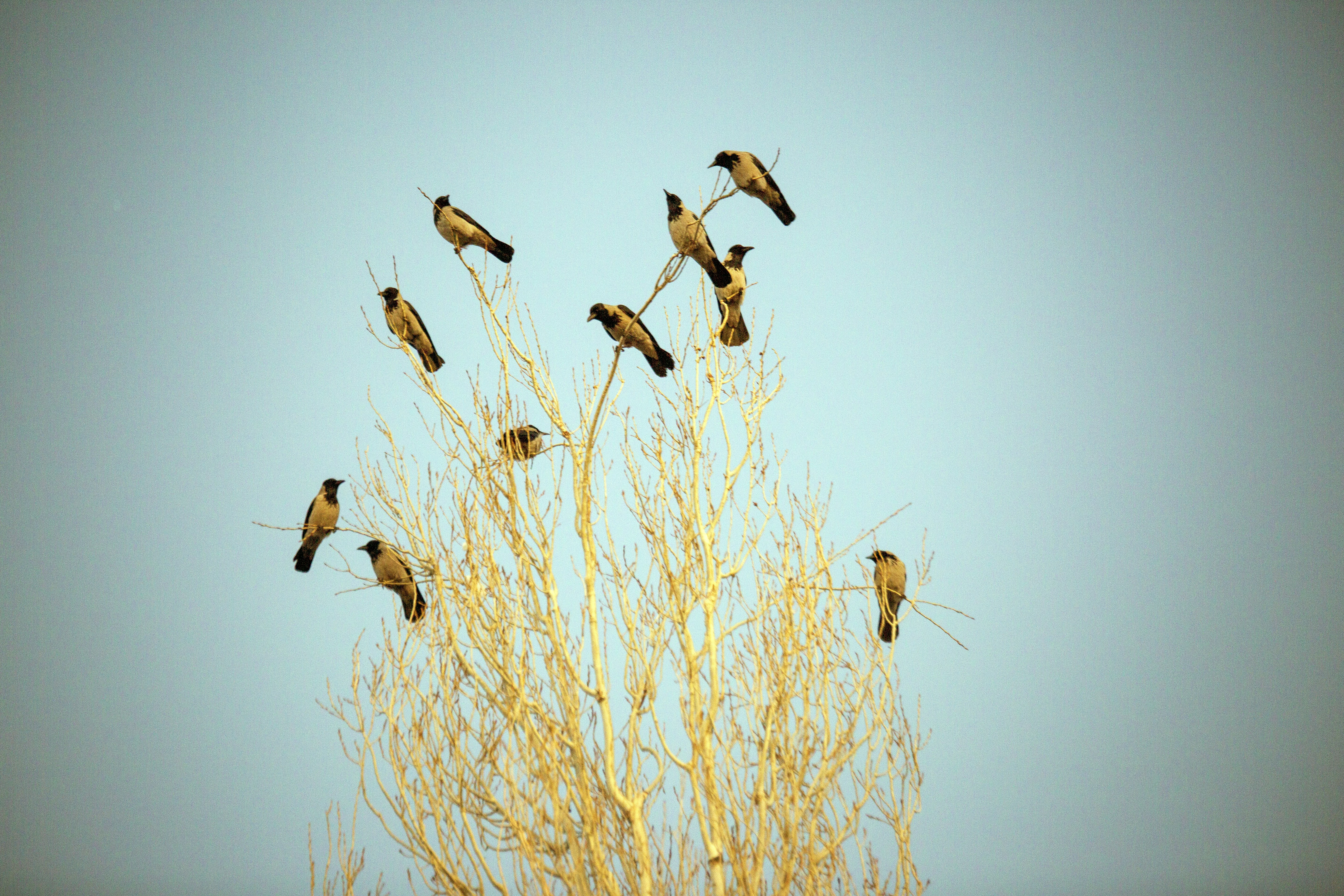 Photo by razipourjafari