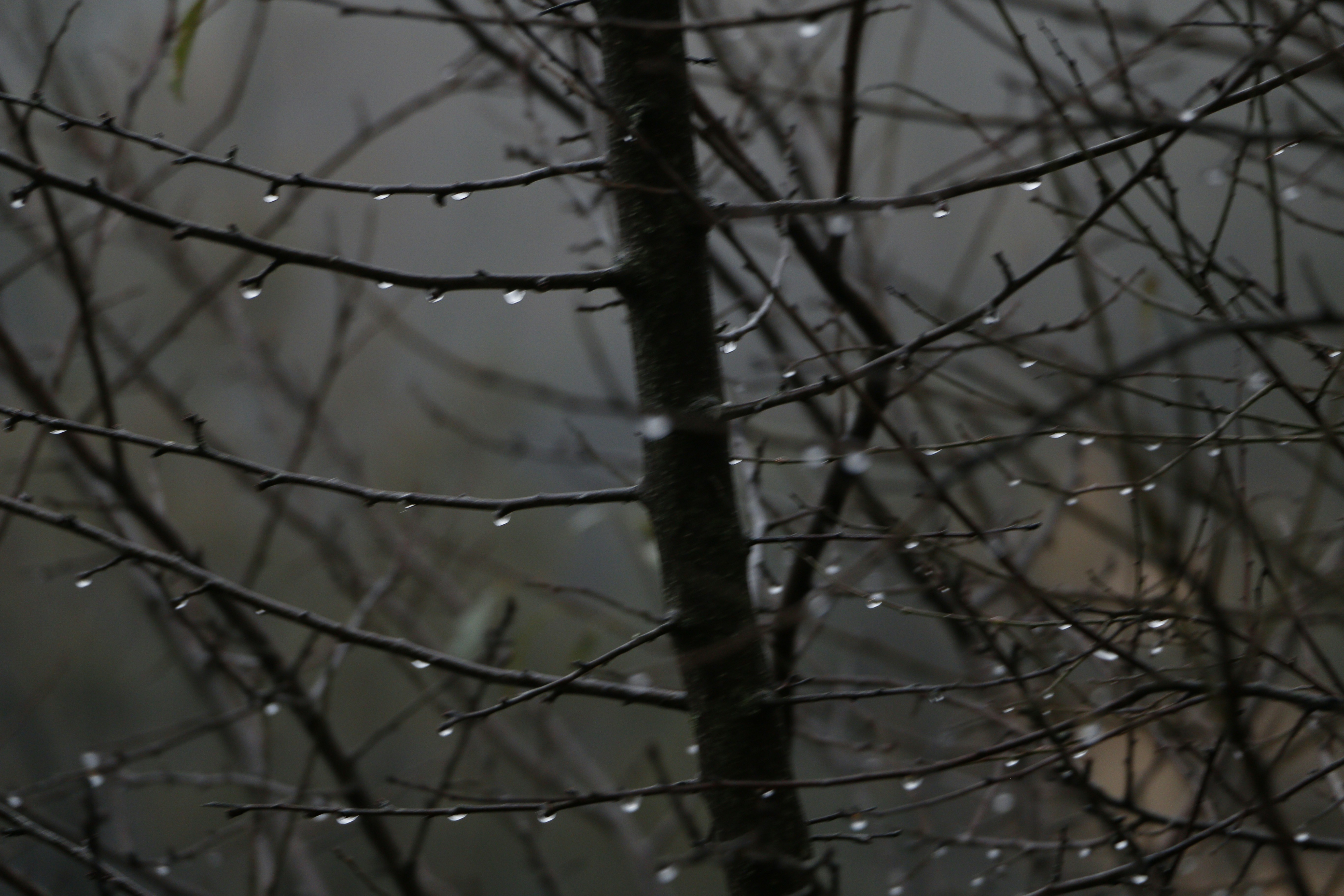 Photo by razipourjafari