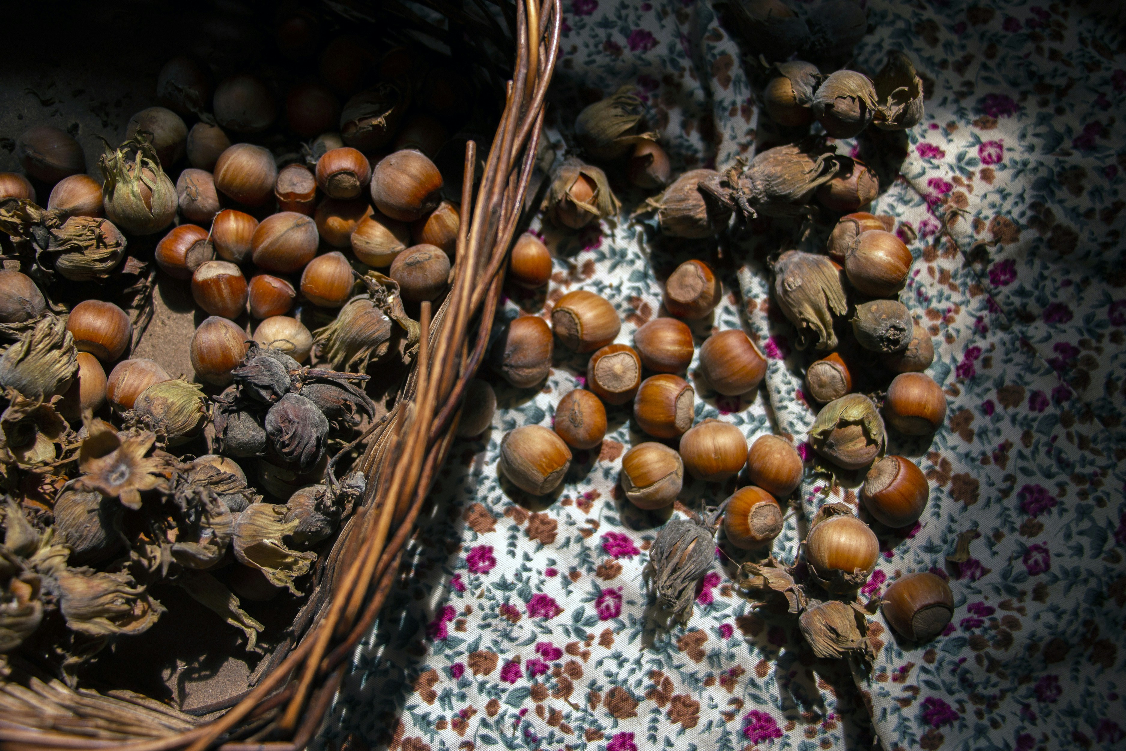 Photo by razipourjafari