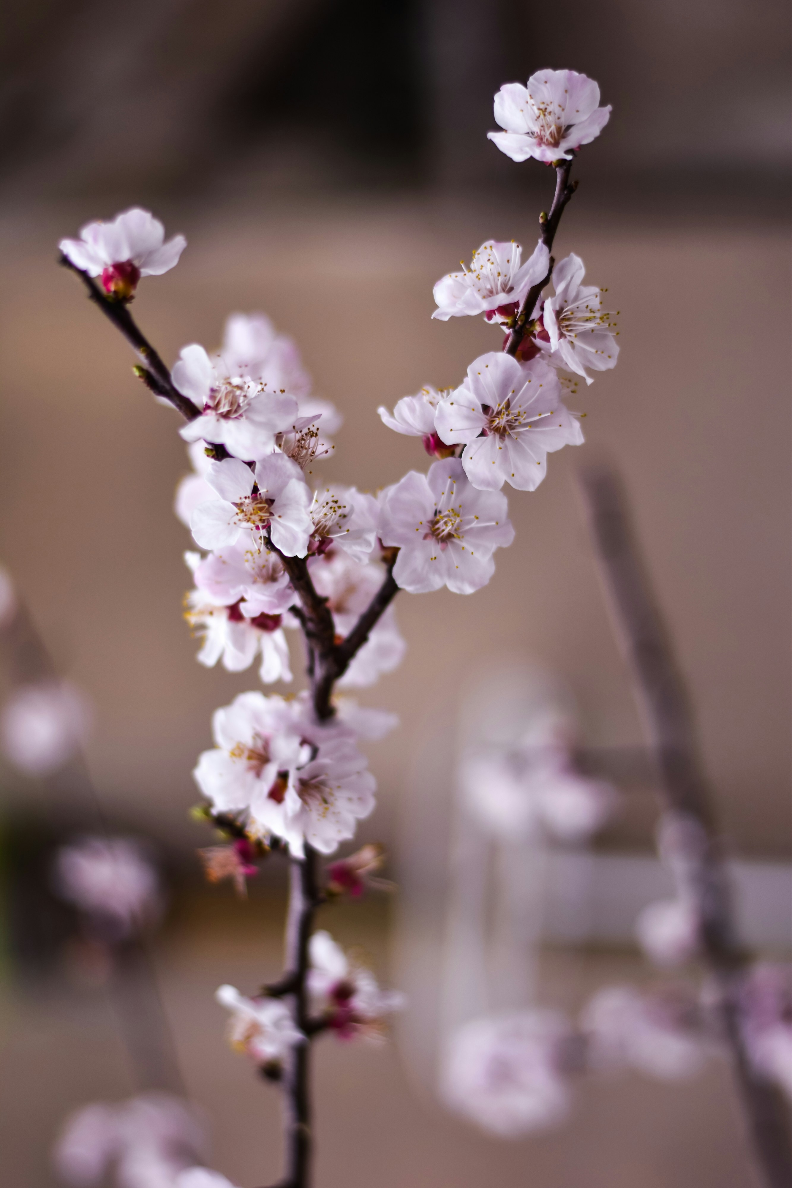 Photo by nasimkeshmiri