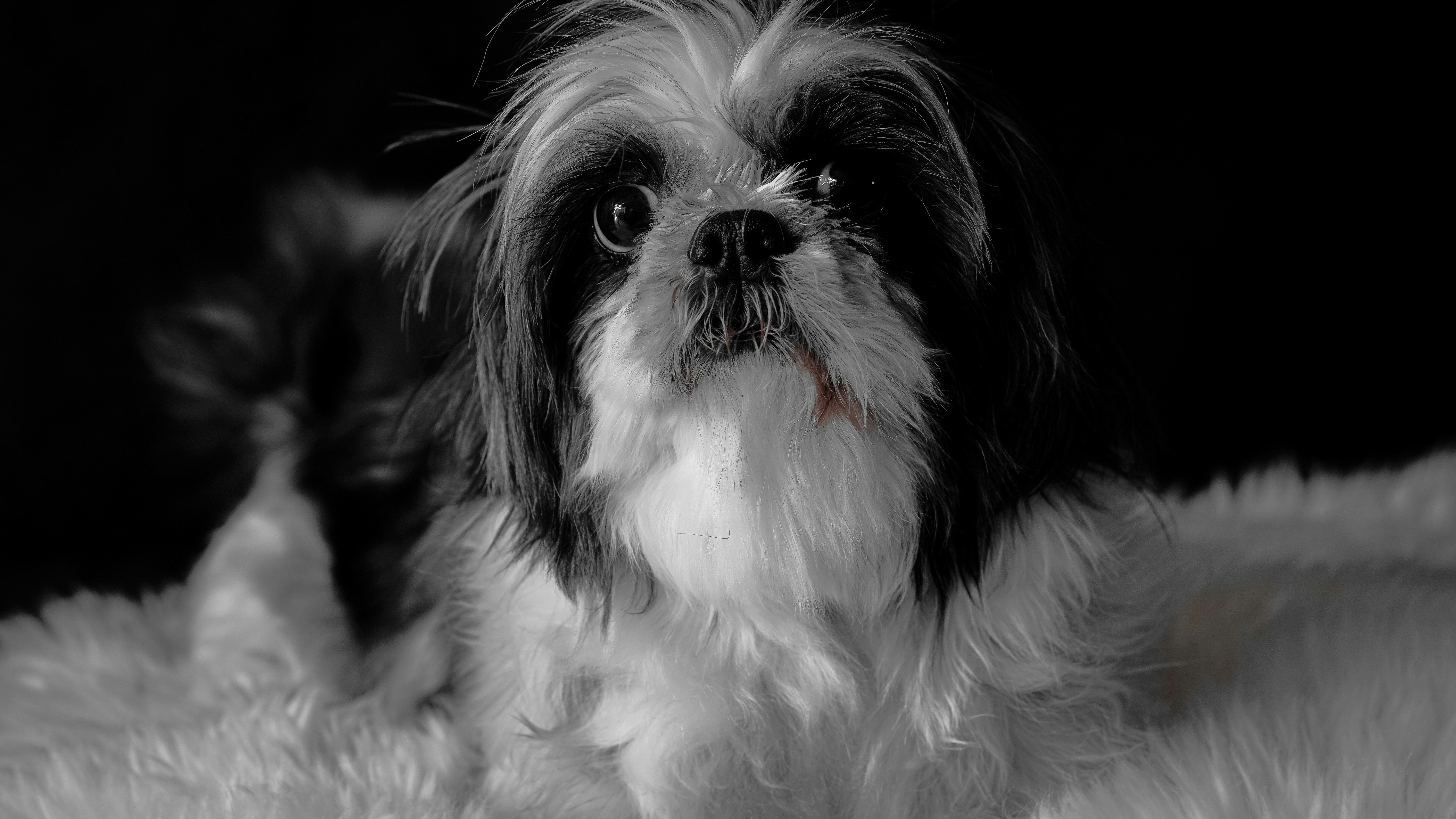 Photo by cashmereundsatin