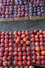 Boxes filled with an assortment of red and purple fruits, likely plums and nectarines. The fruits are arranged neatly in cardboard boxes on a pavement surface.