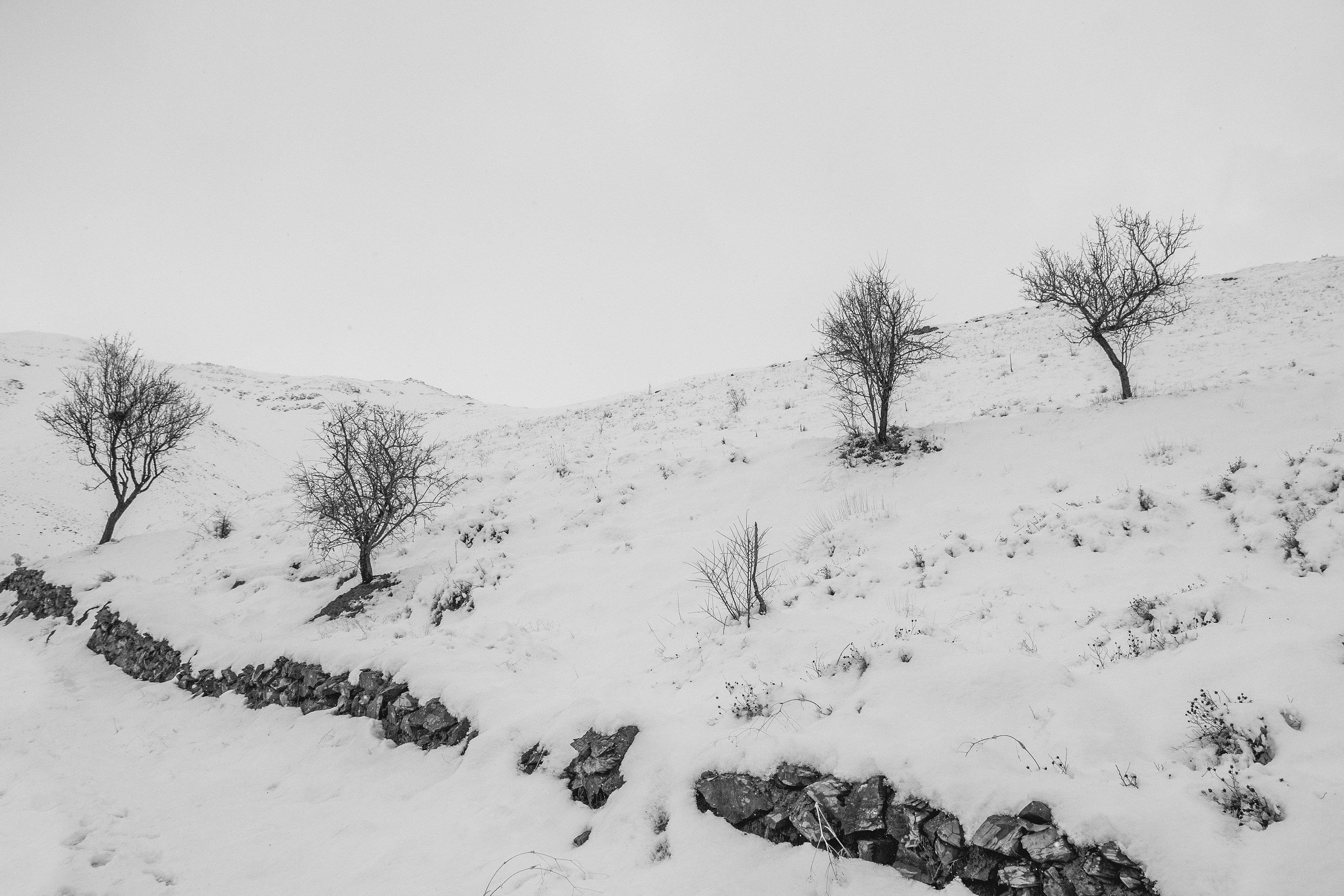 Photo by razipourjafari