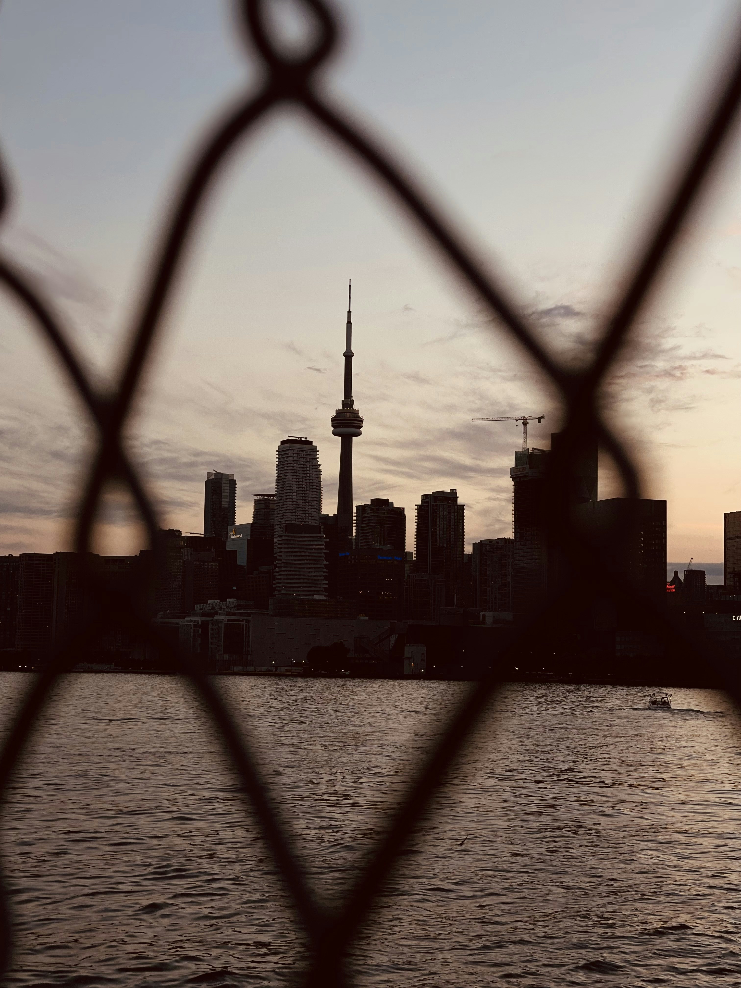 a view of a city skyline through a fence