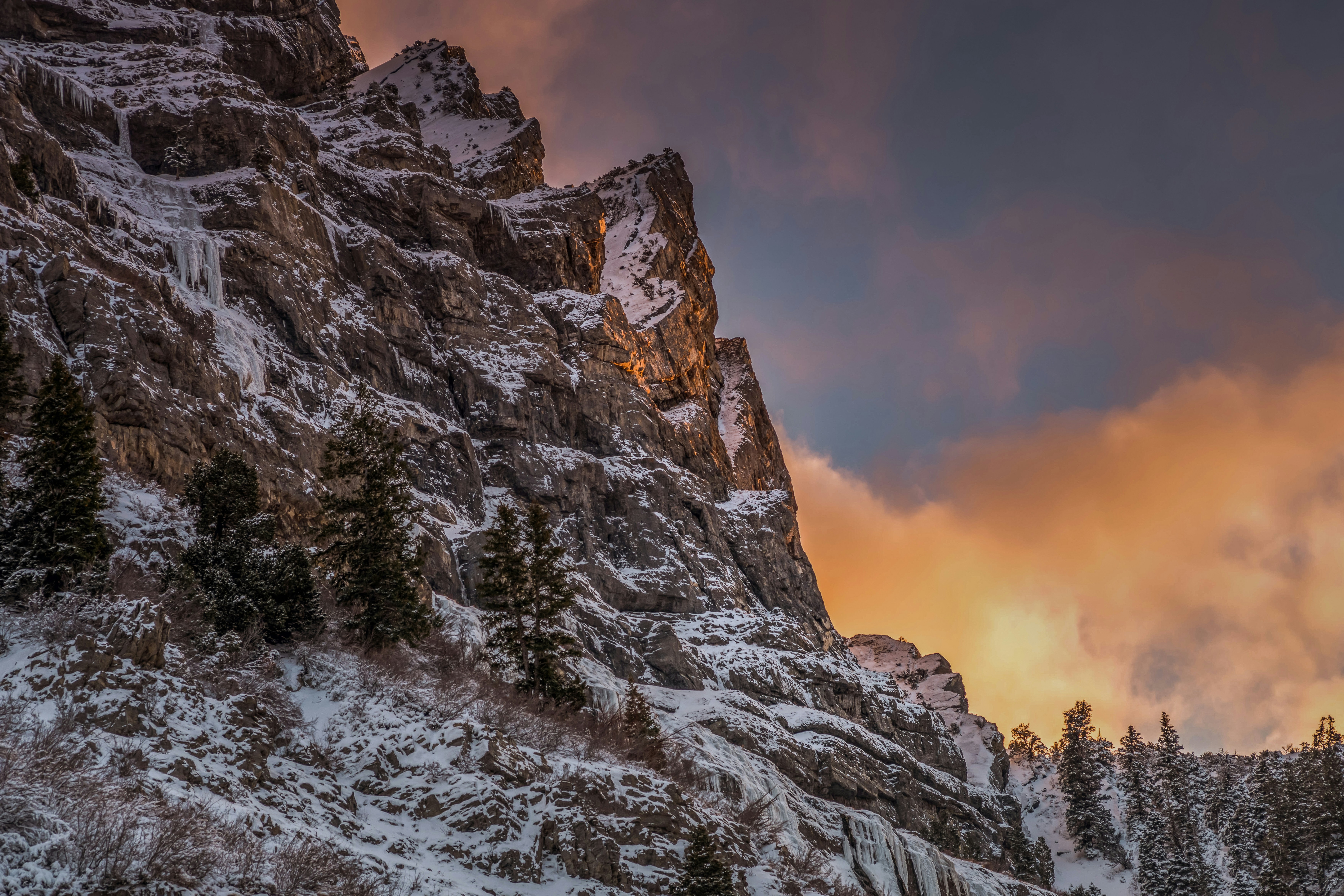 Photo by kalaniparker