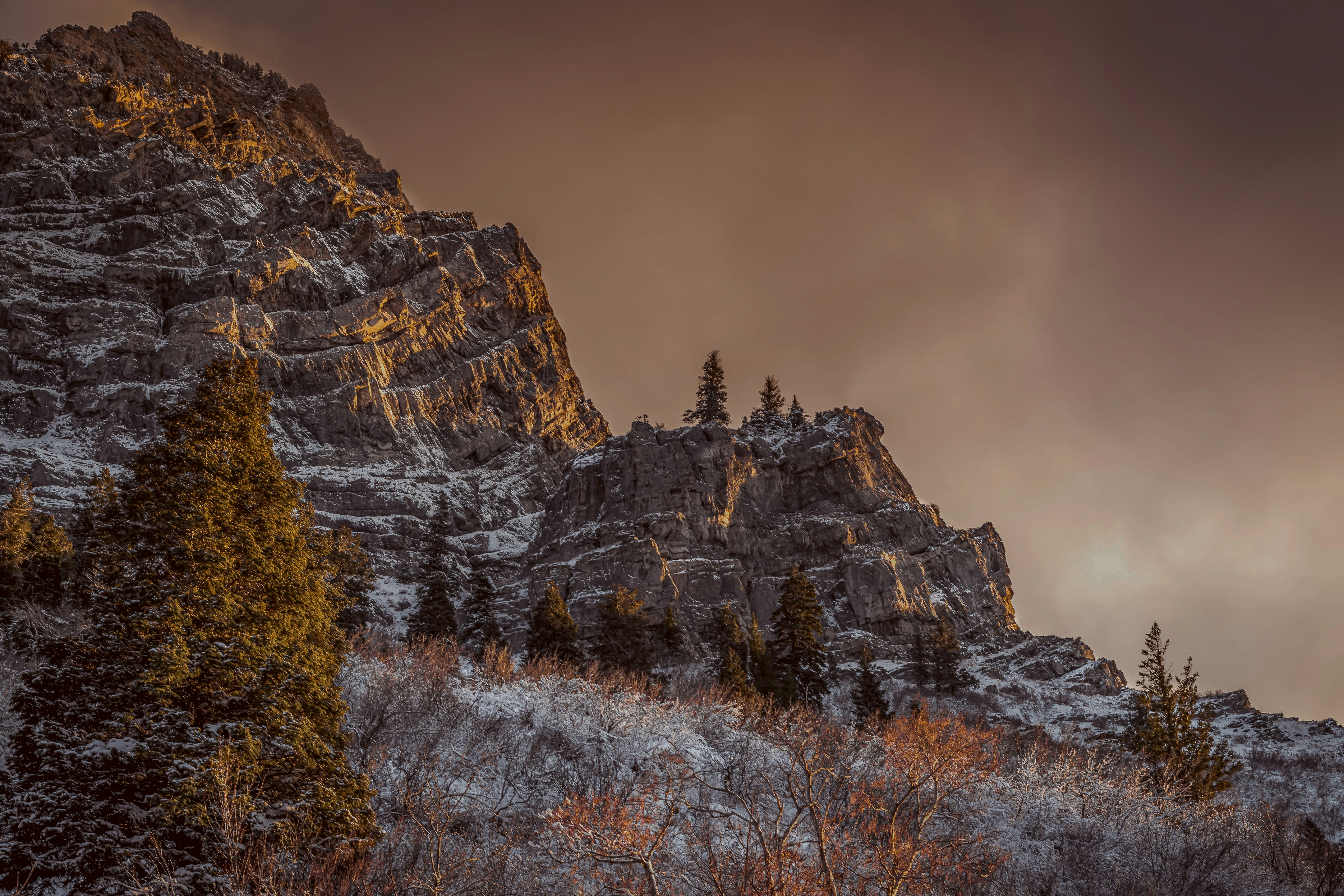 Photo by kalaniparker