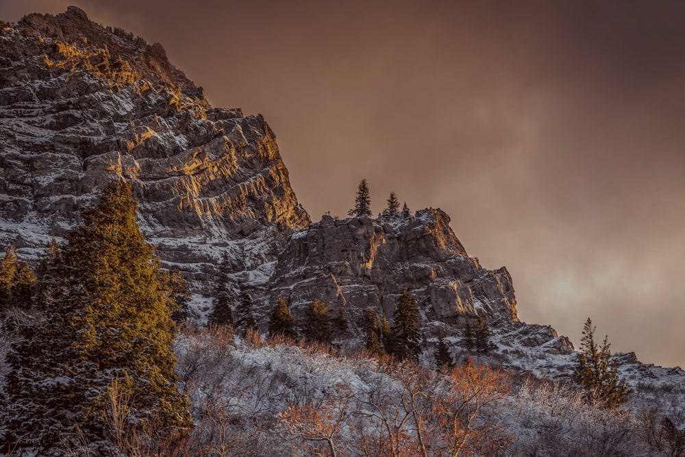 a snow covered mountain with trees in the foreground