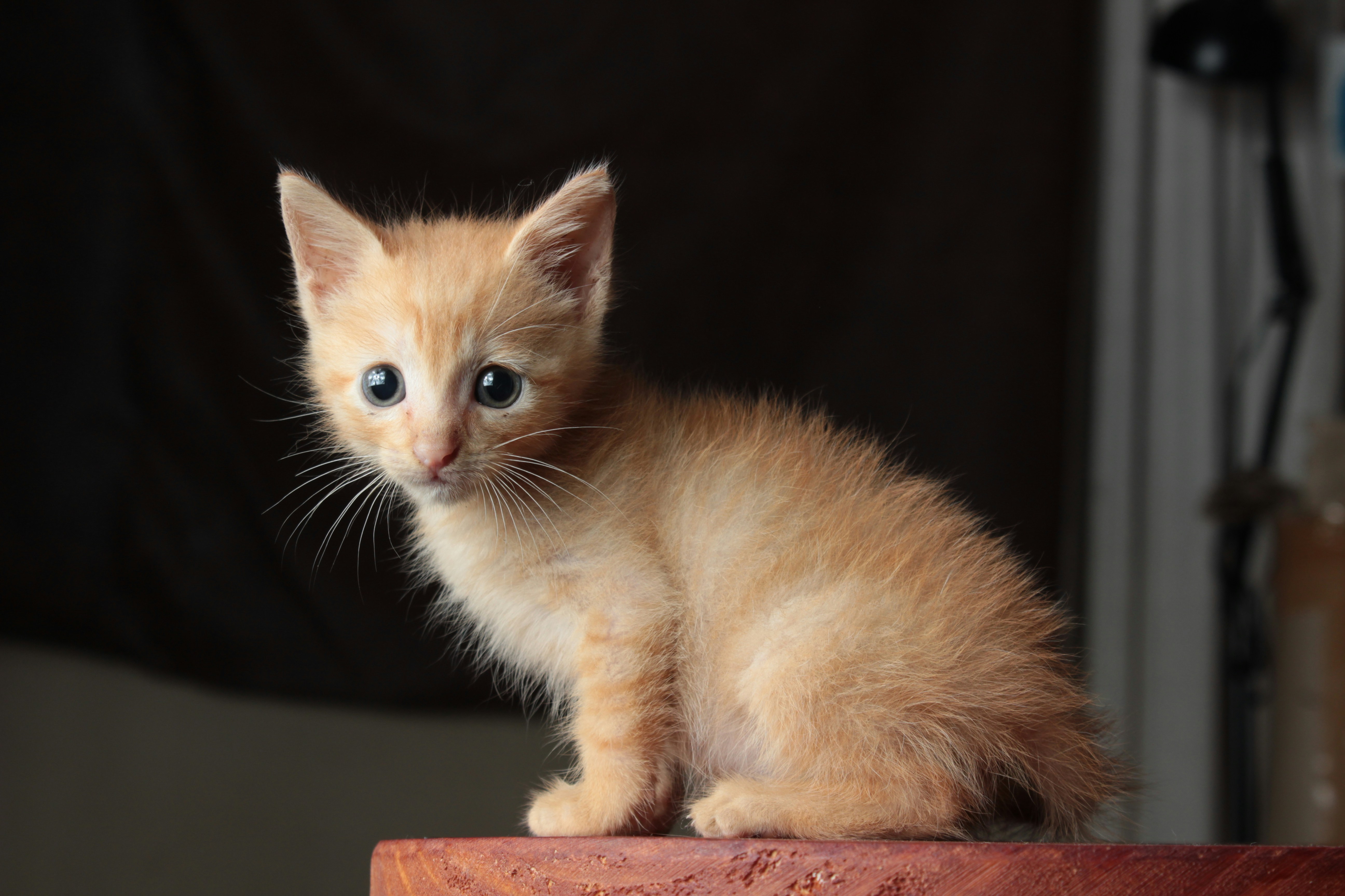 Photo by gladystonefonseca