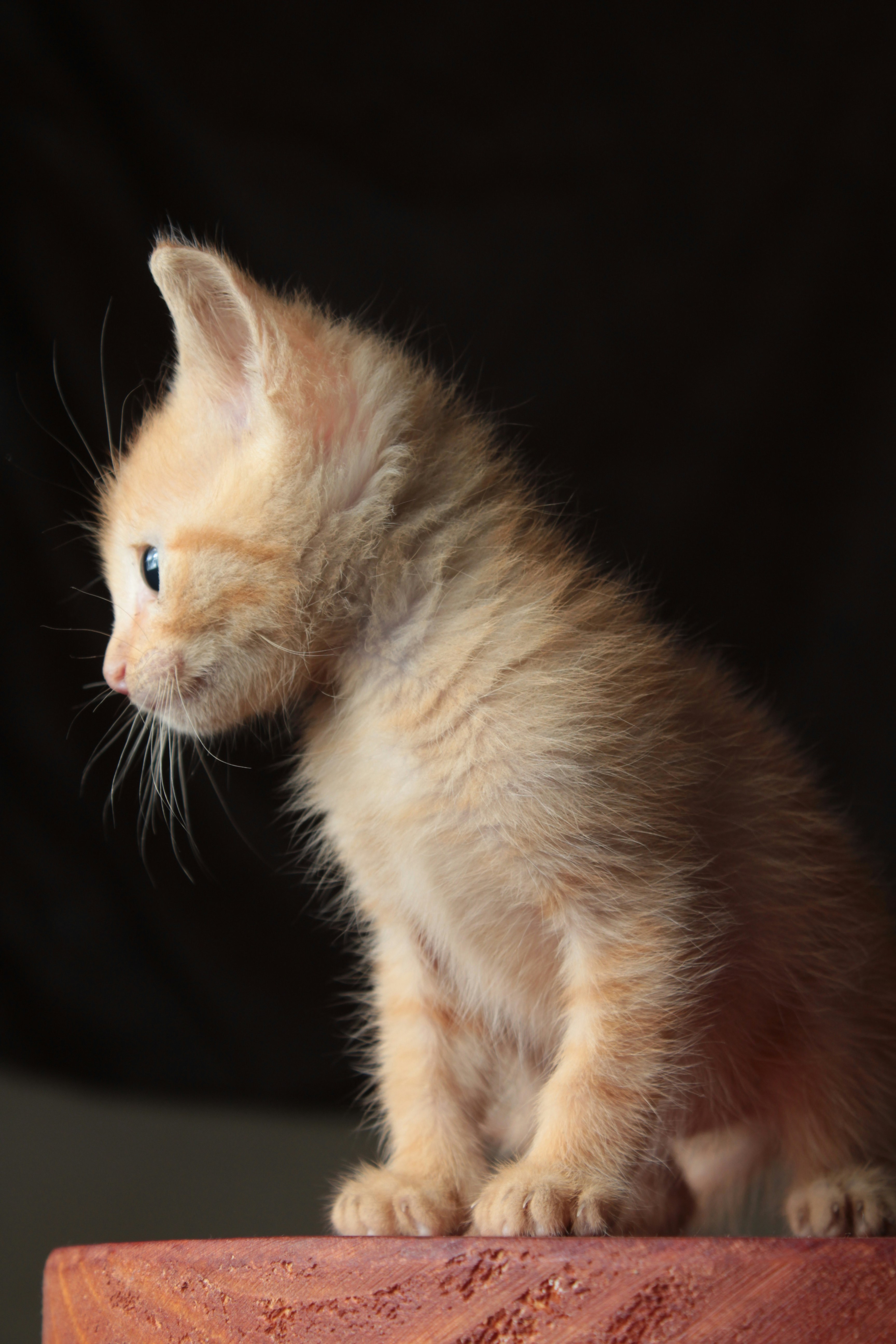 Photo by gladystonefonseca