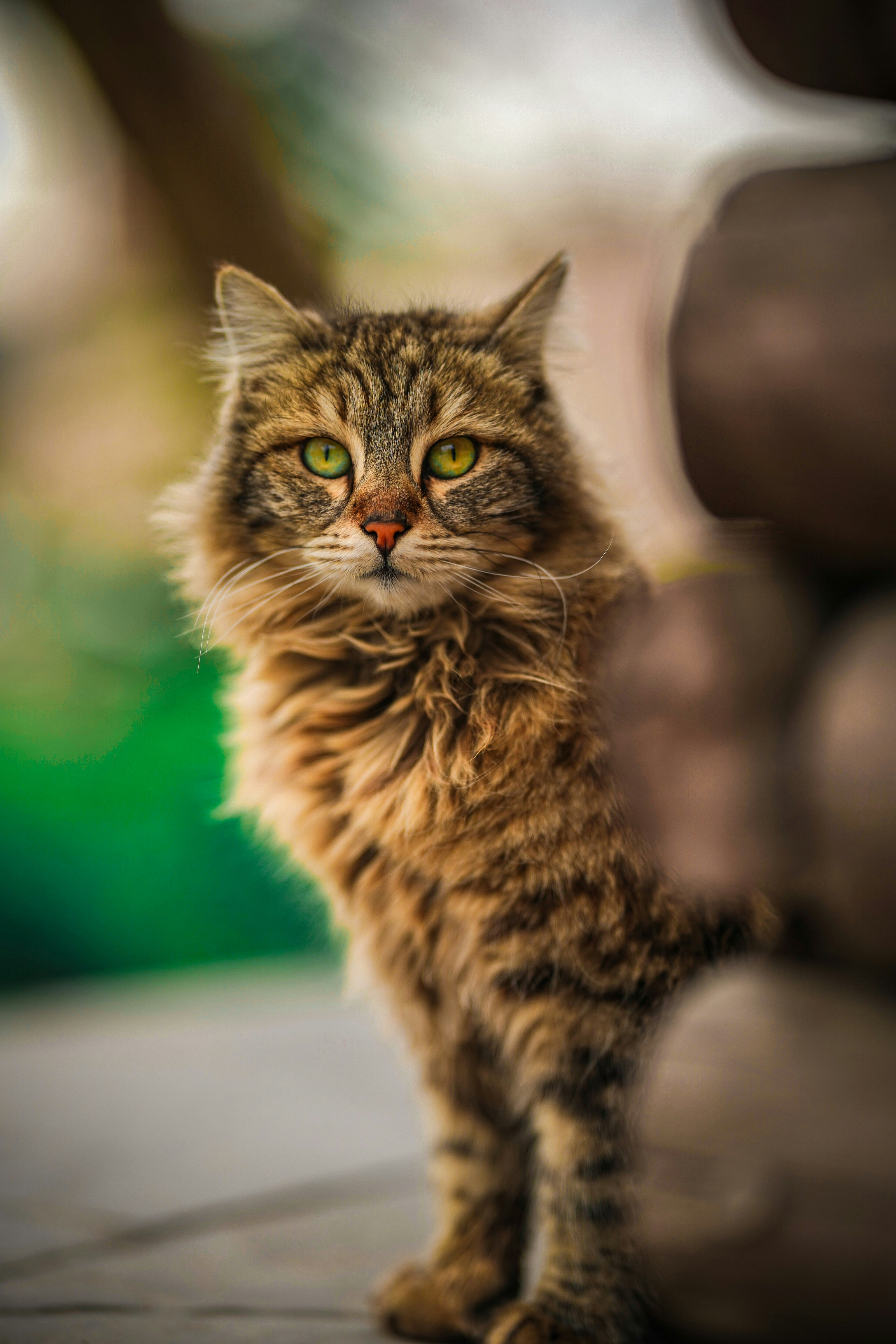 Photo by kiarash_mansouri