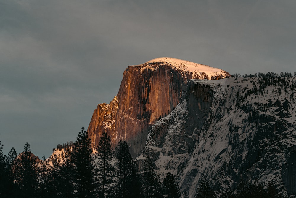 a snow covered mountain with trees on the side