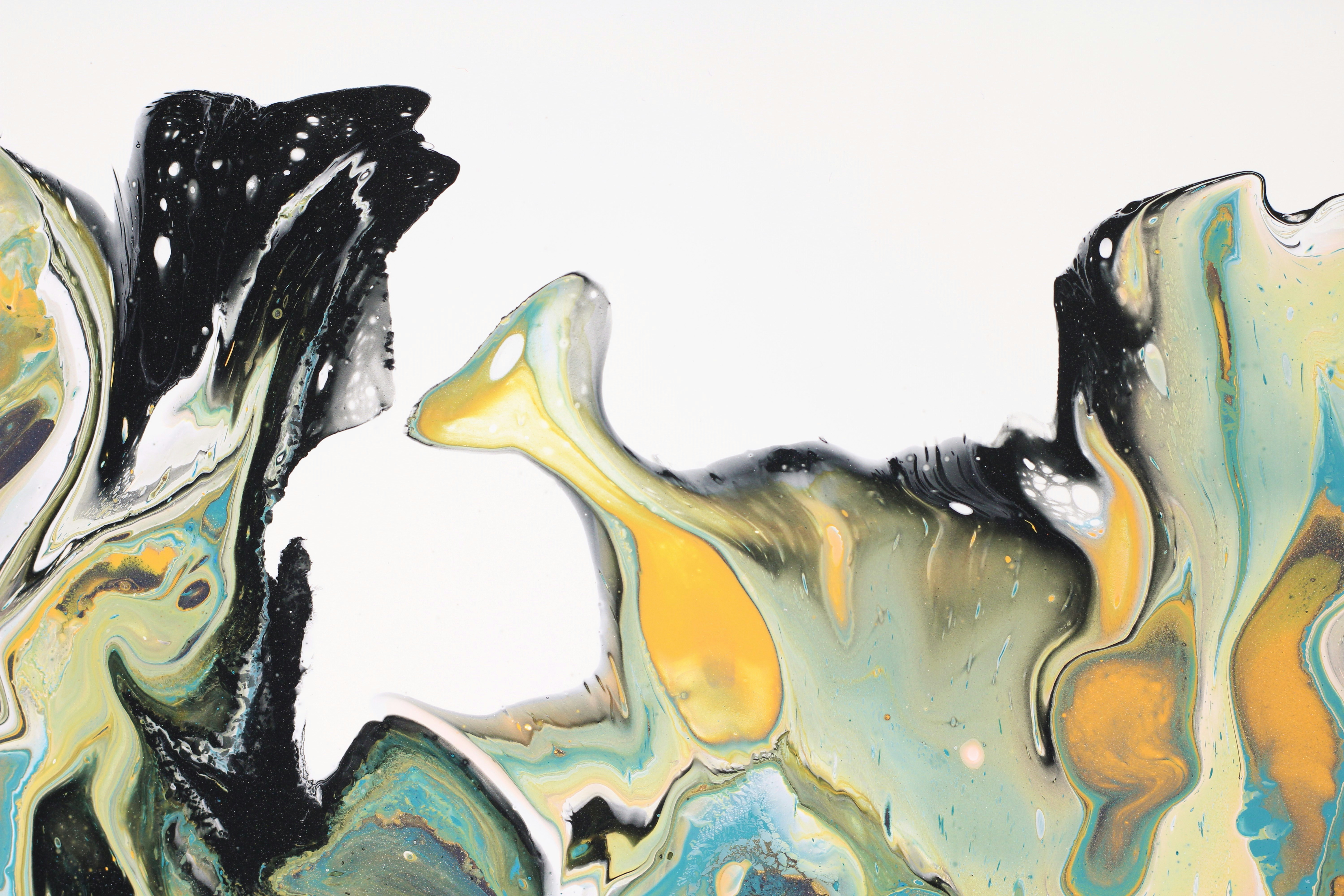 Photo by susan_wilkinson