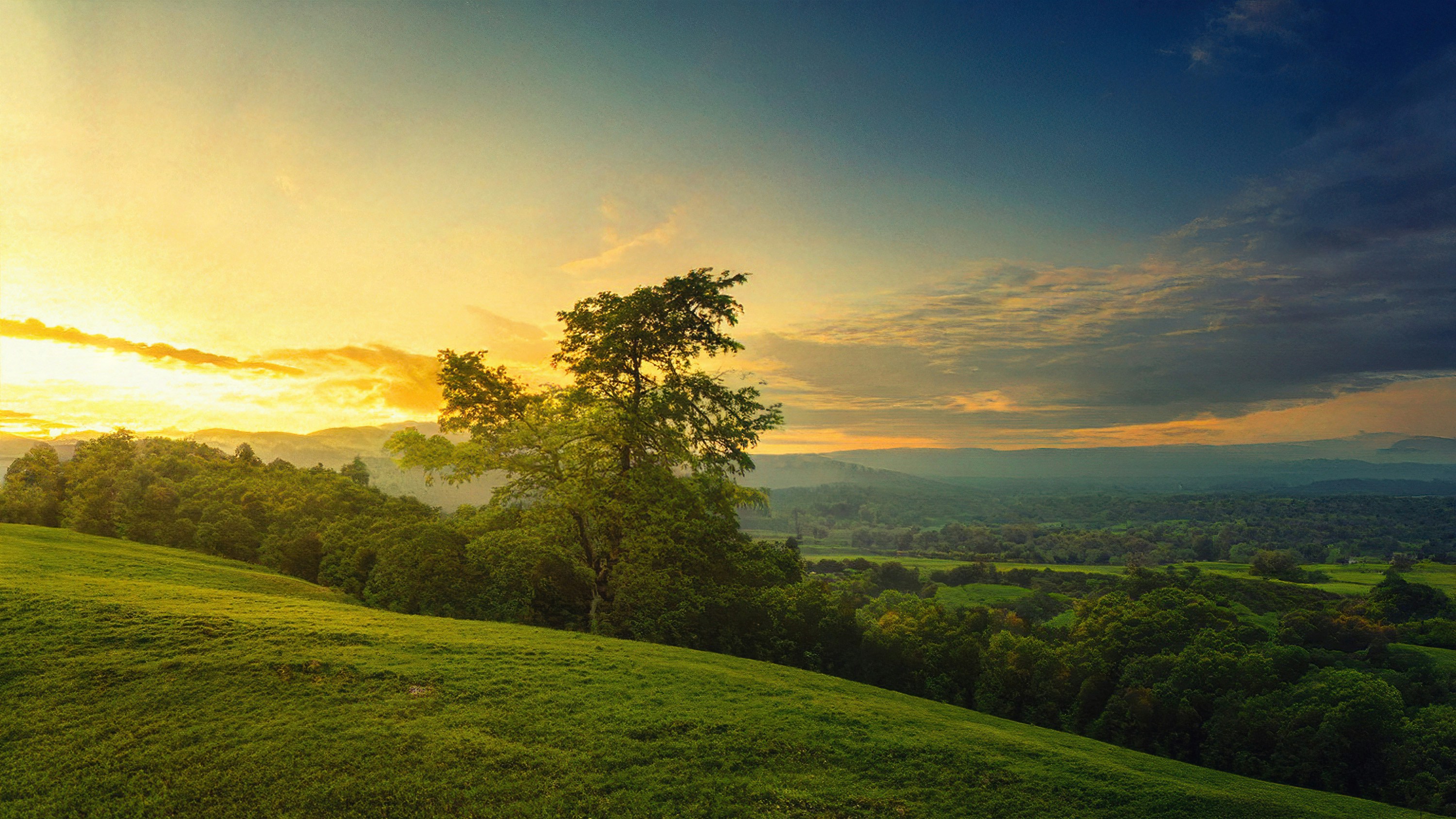 the sun is setting over a lush green hillside