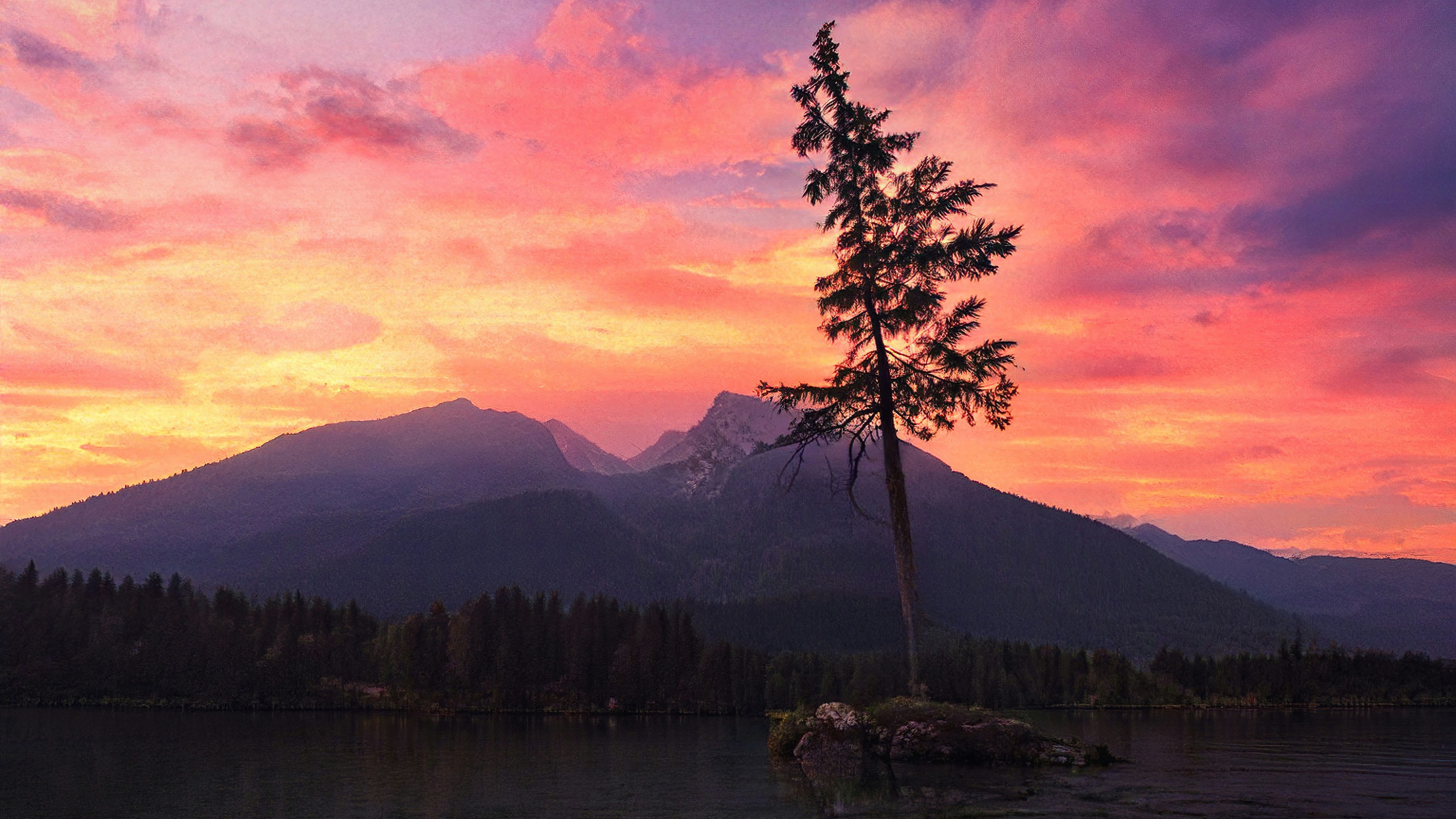 a lone tree in the middle of a lake