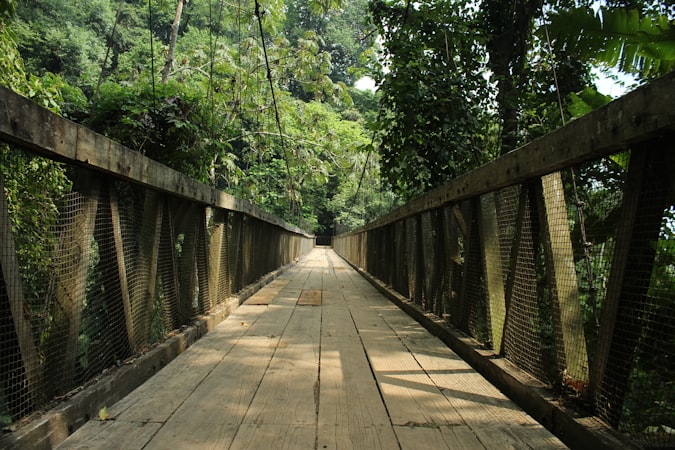 Situ Gunung Sukabumi dengan jembatan gantung di pemandangan hutan hijau