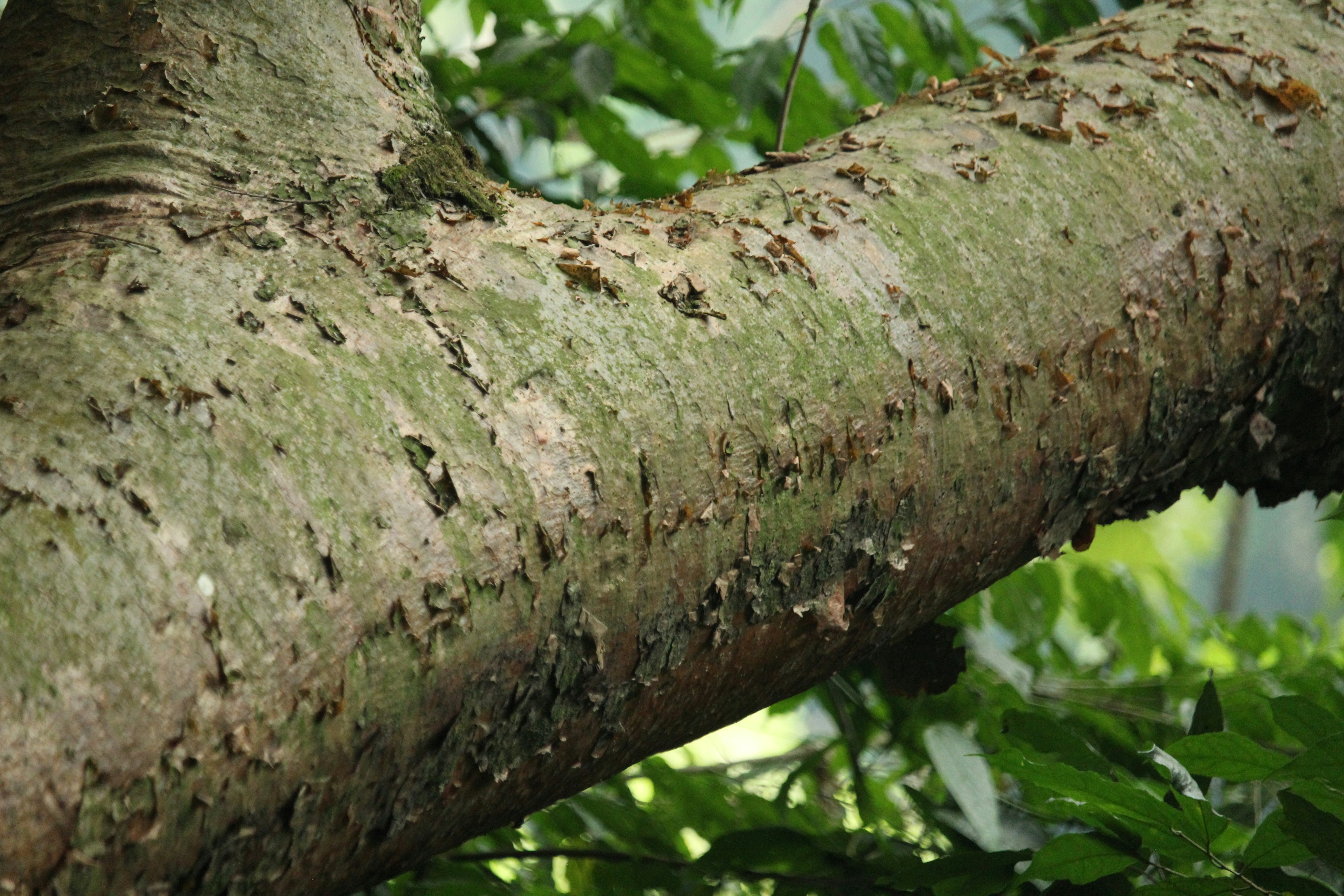 Photo by jeremyboley