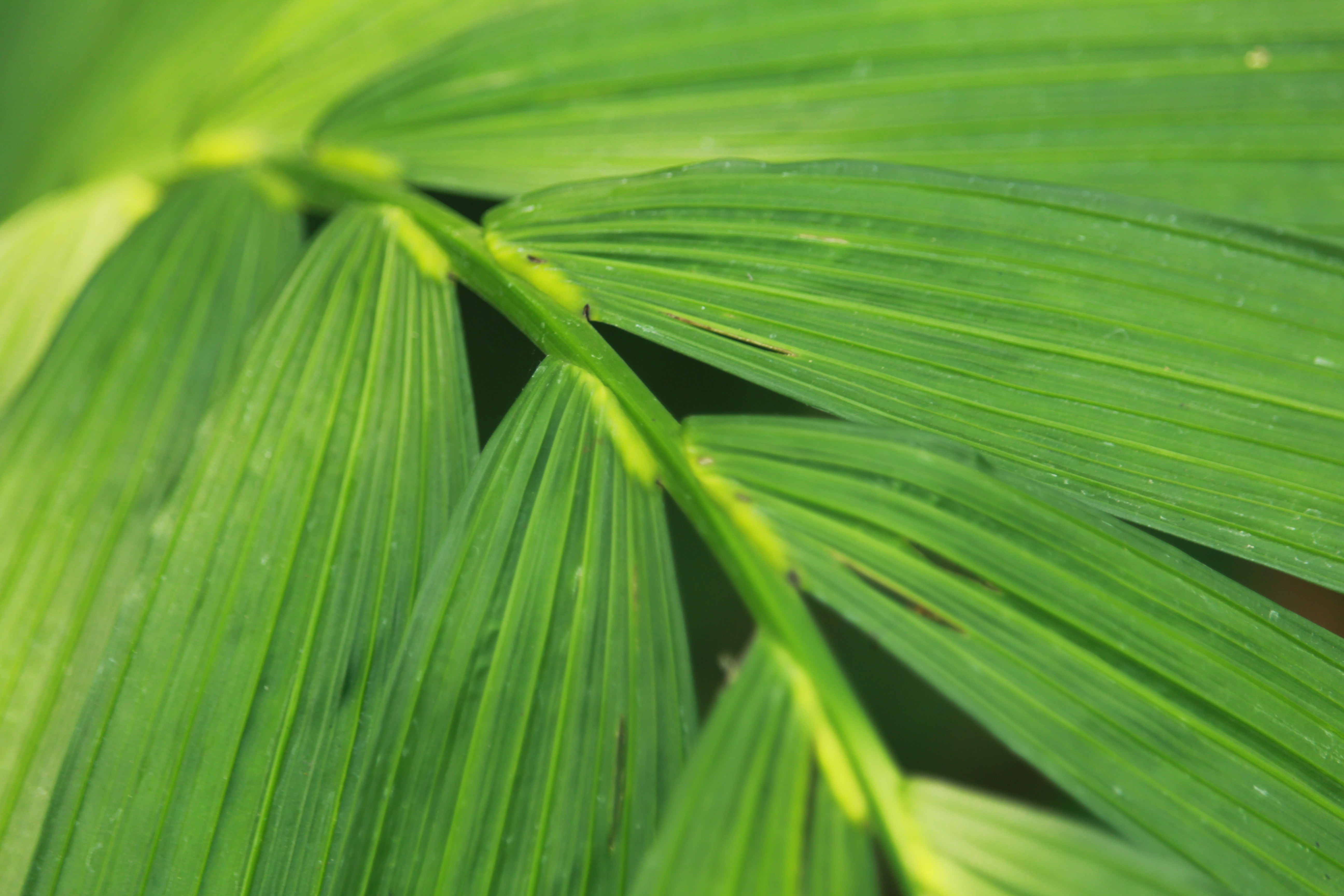 Photo by jeremyboley