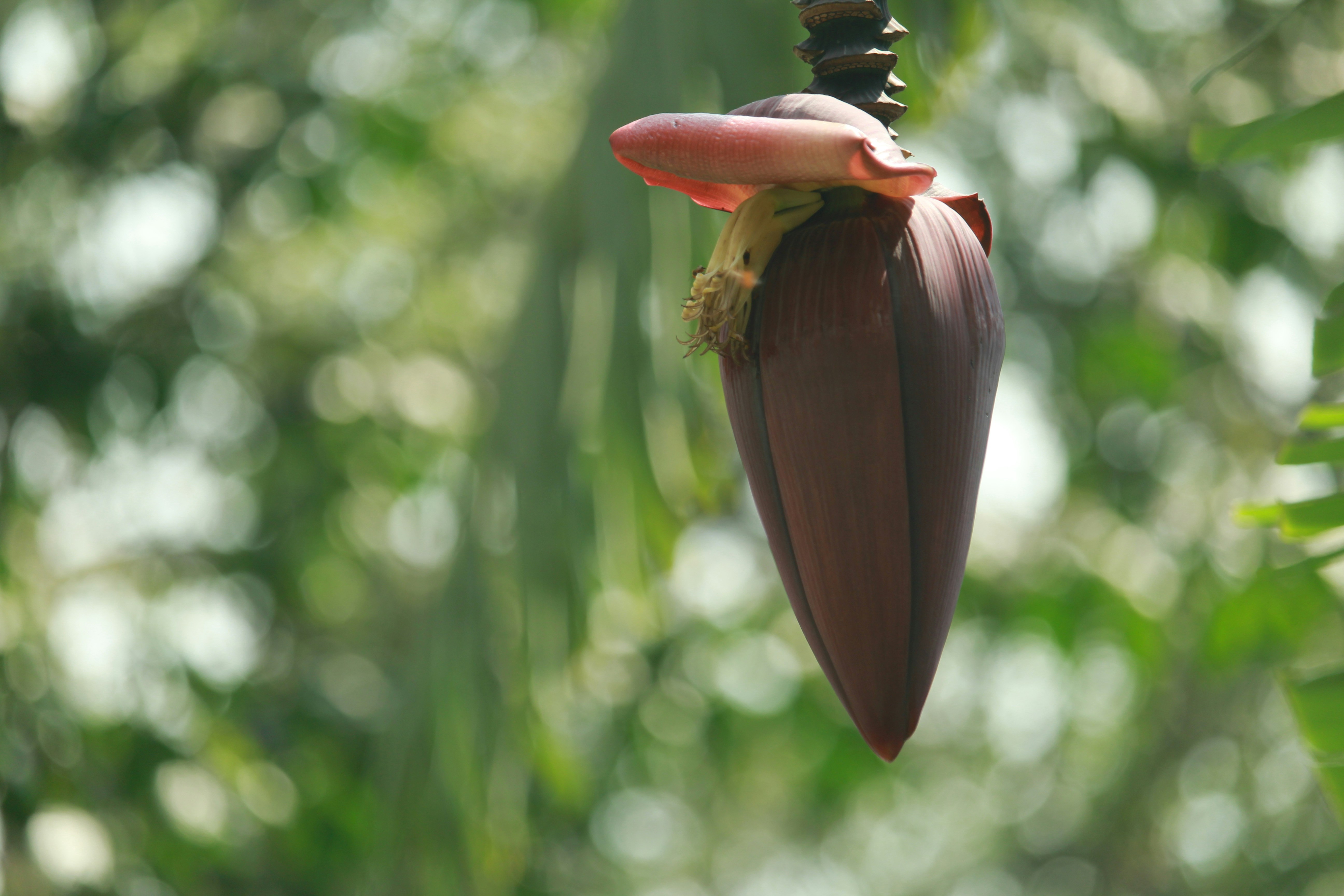 Photo by jeremyboley