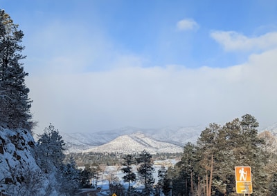 Snow-covered pine trees lining a mountain trail with a blue sky above.