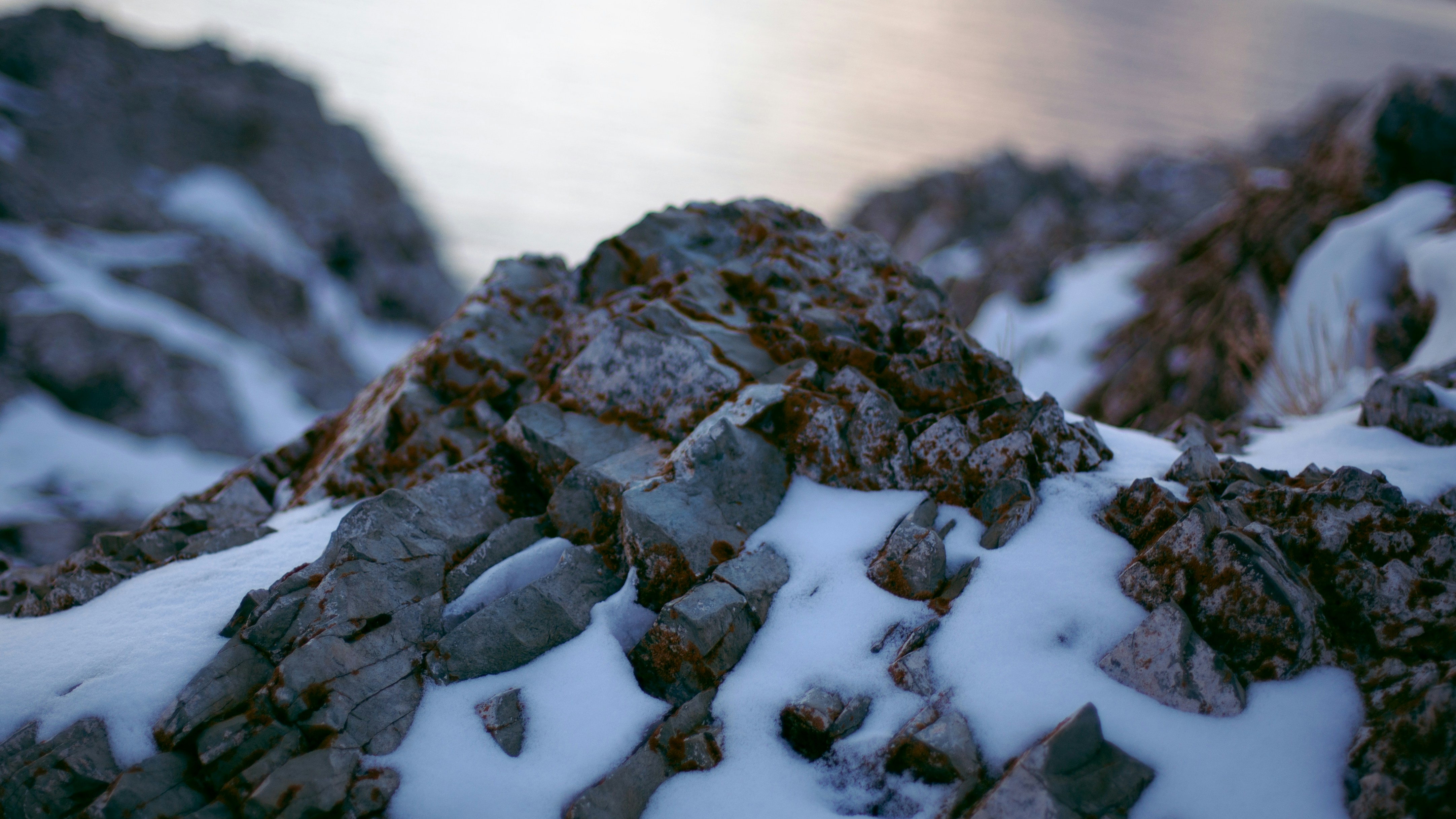 Photo by koryunhills