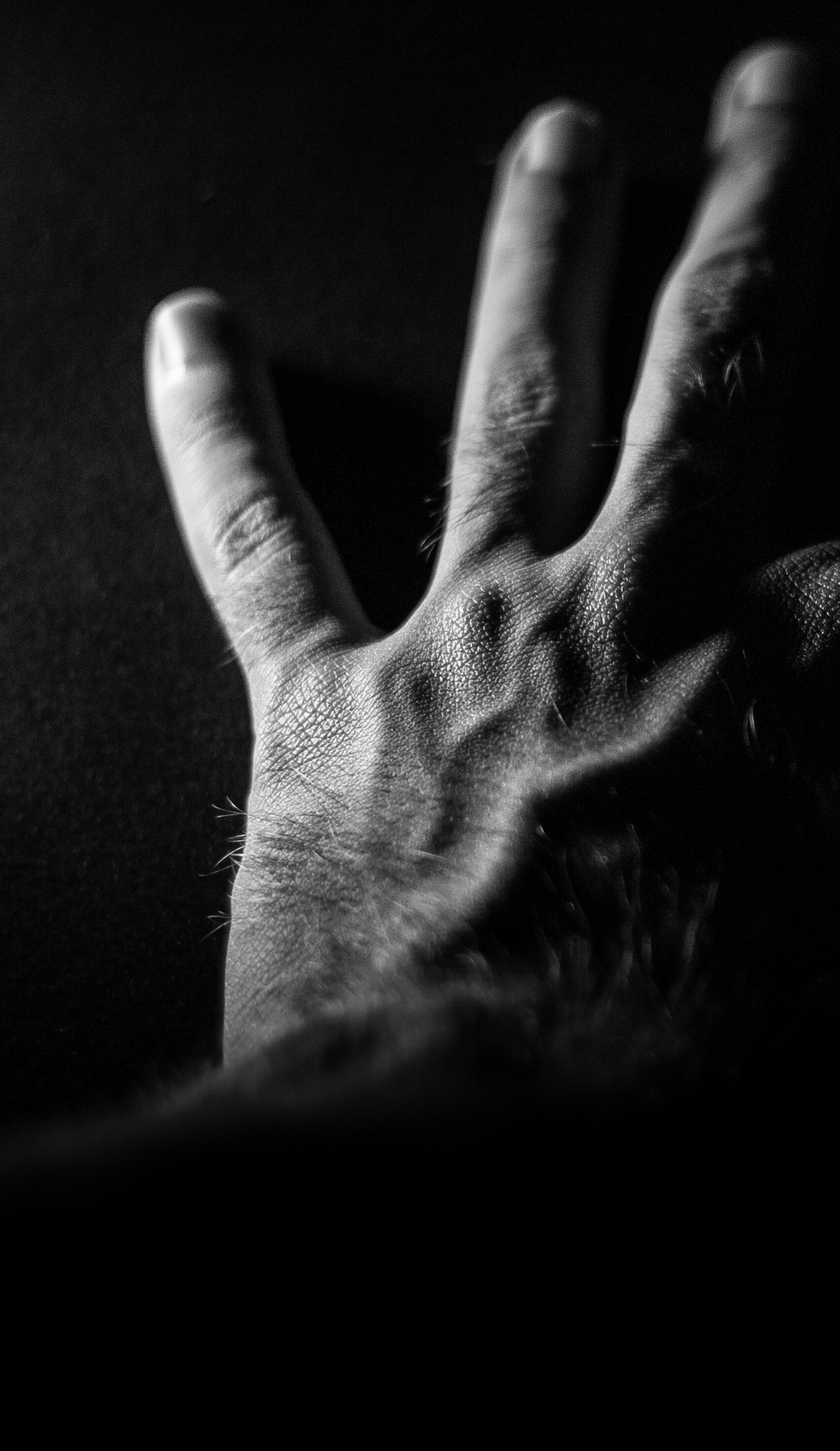 사람의 손의 흑백 사진 사진 – Unsplash의 무료 손 이미지, image size:3000x5179
